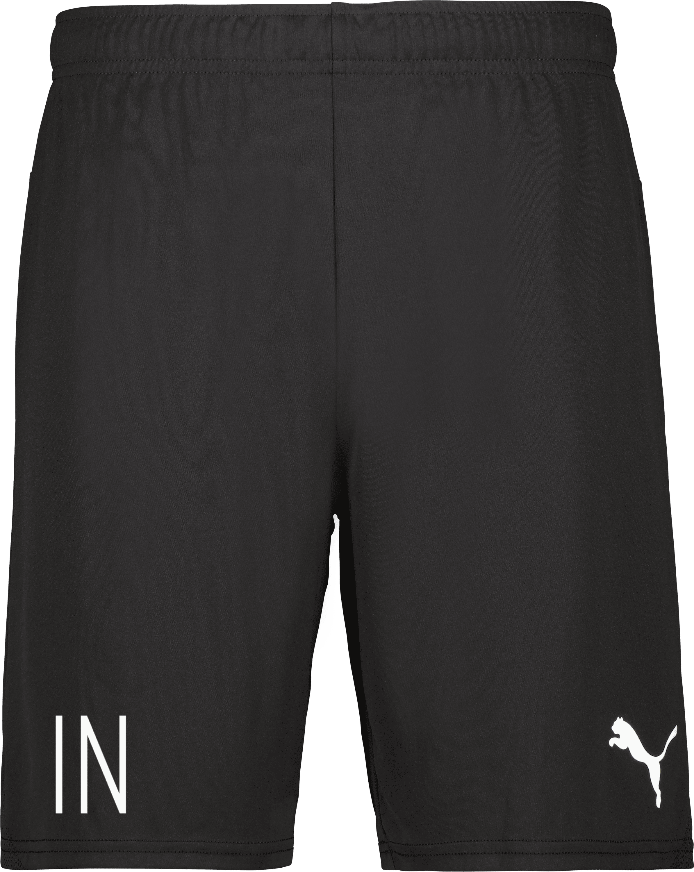 Puma teamGOAL Shorts 