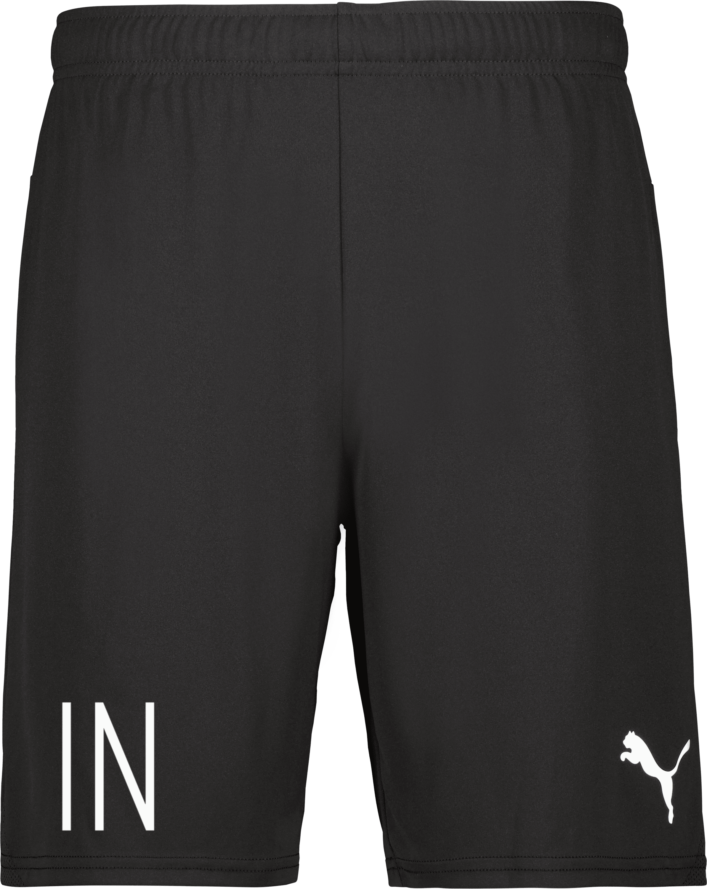 Puma teamGOAL Shorts Jr 