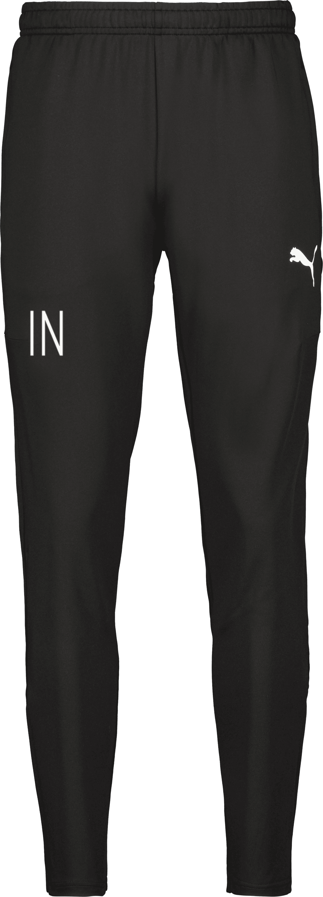 Puma teamGOAL PRO Training Pants 