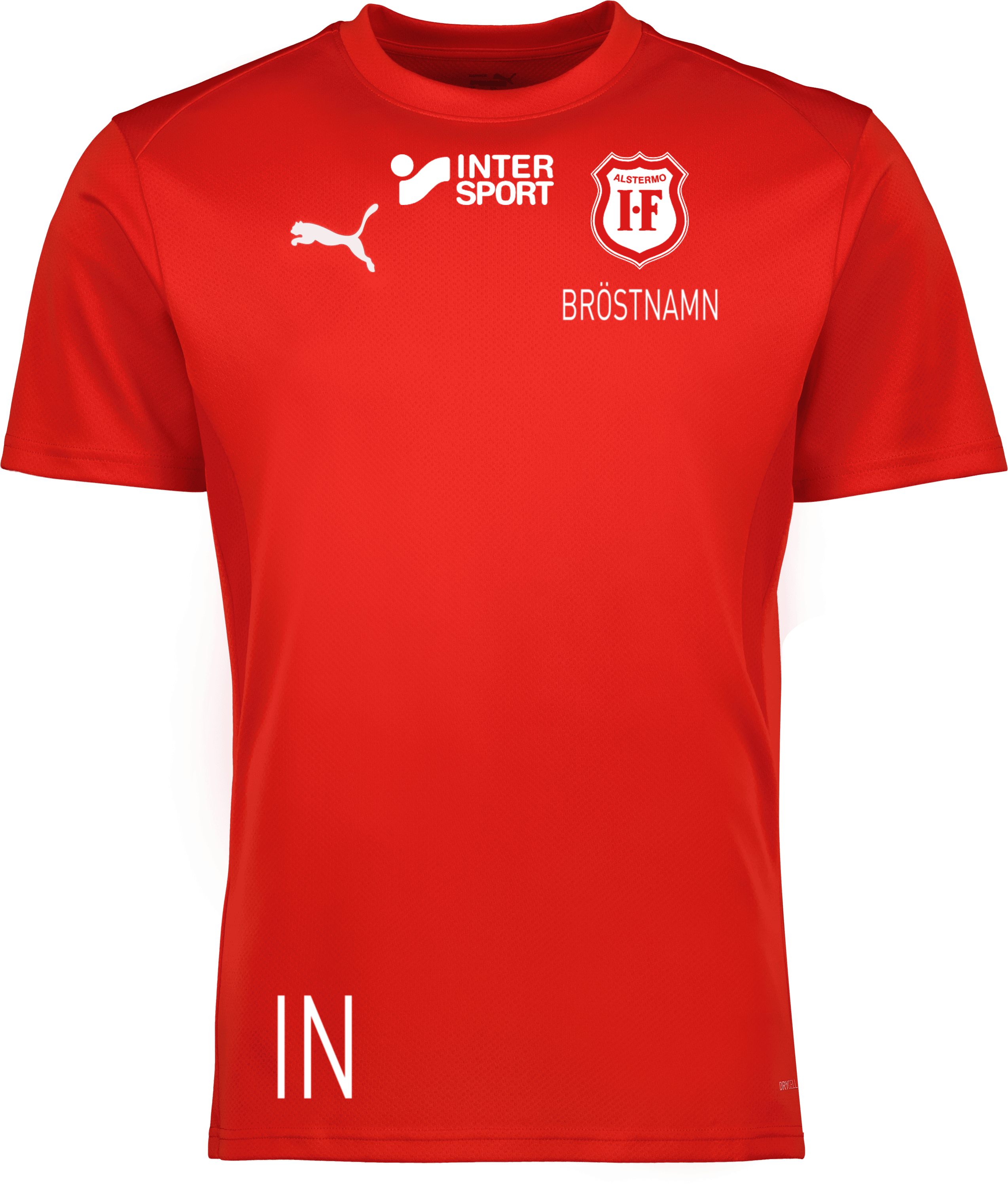 Puma teamGOAL Jersey Jr 
