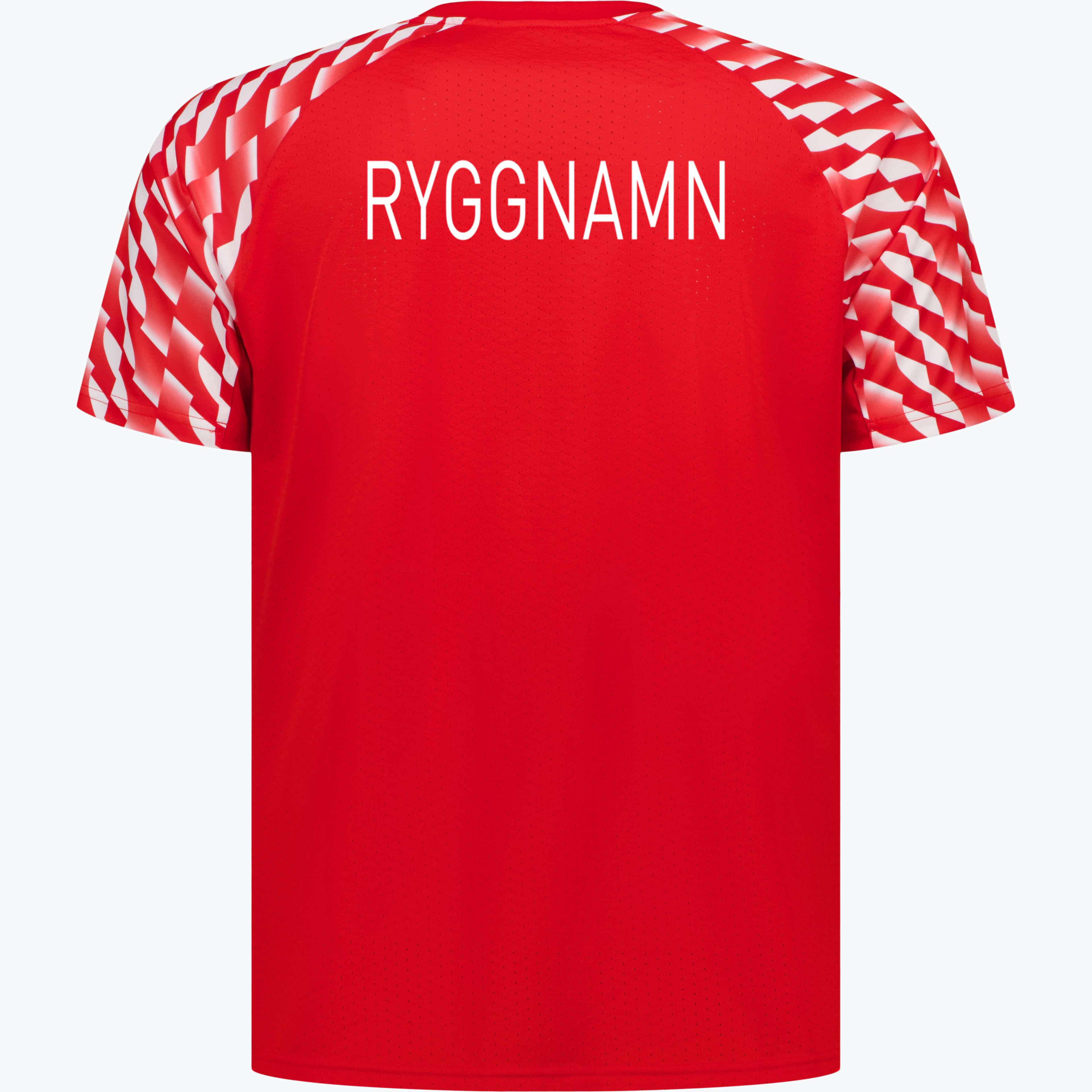 teamLiga 26 M träningst-shirt
