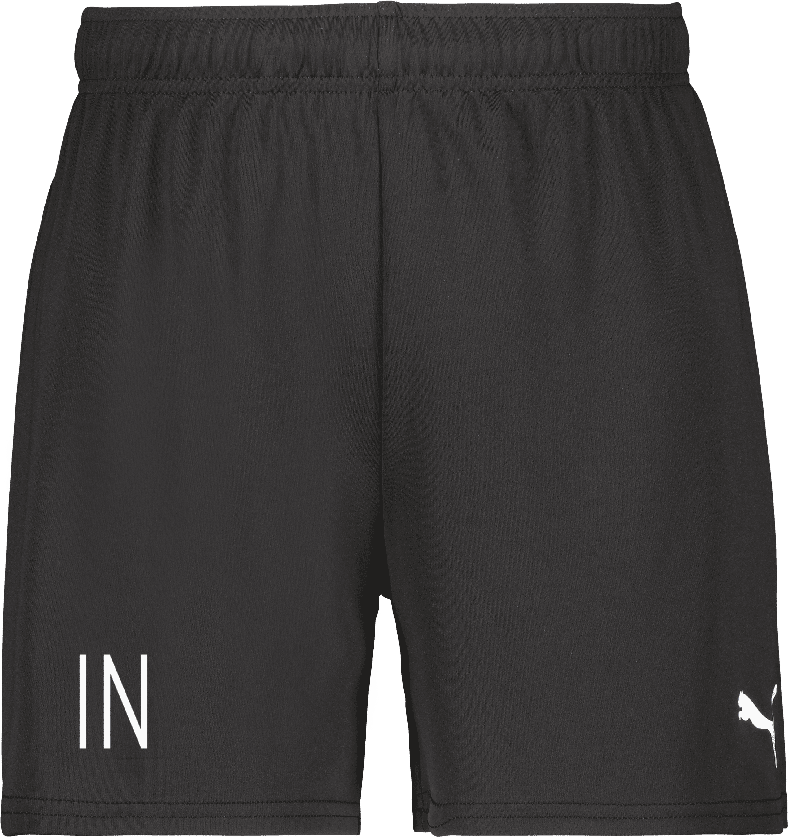 Puma teamGOAL Shorts W 