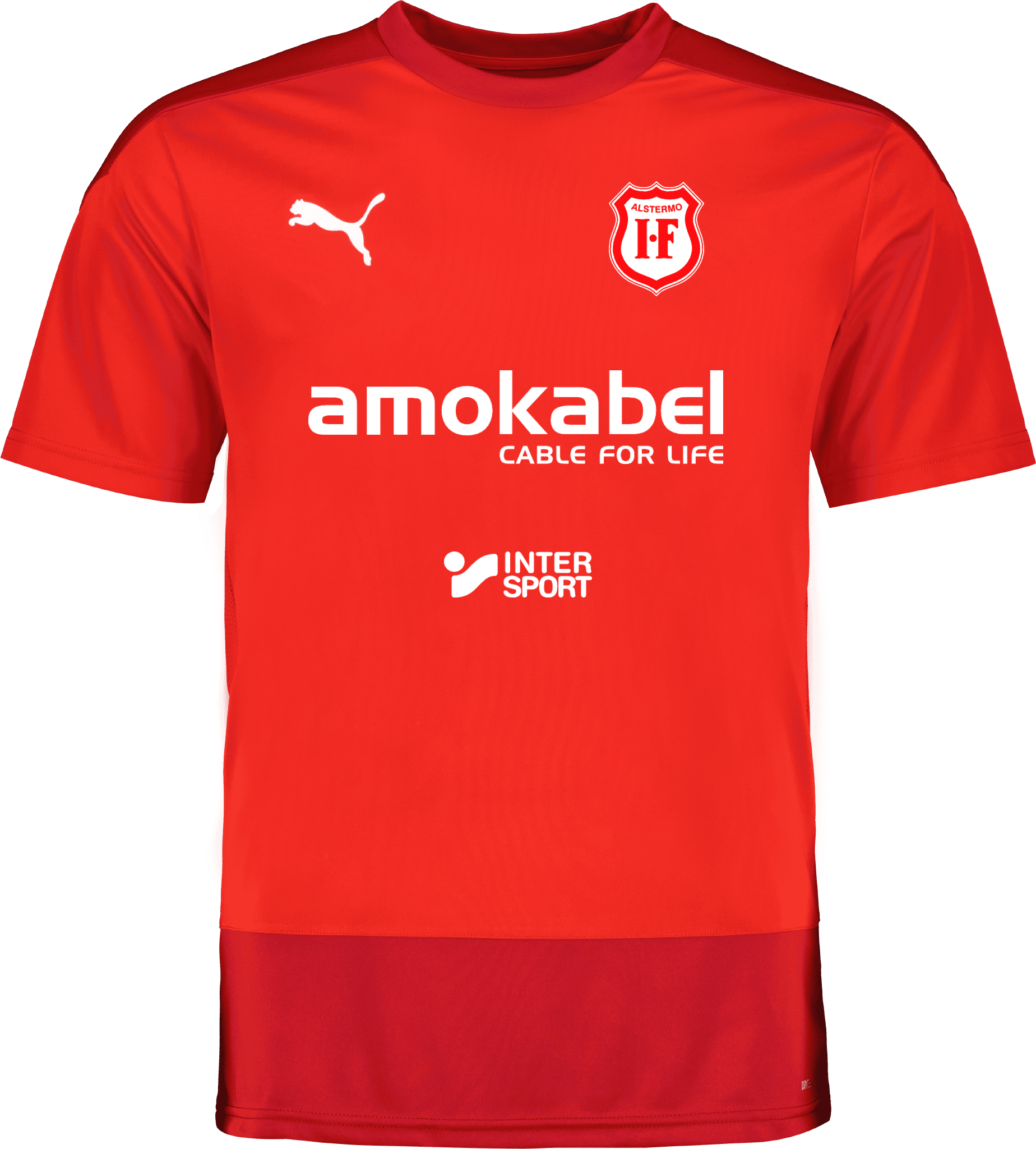 Puma teamGOAL 23 Training Jersey