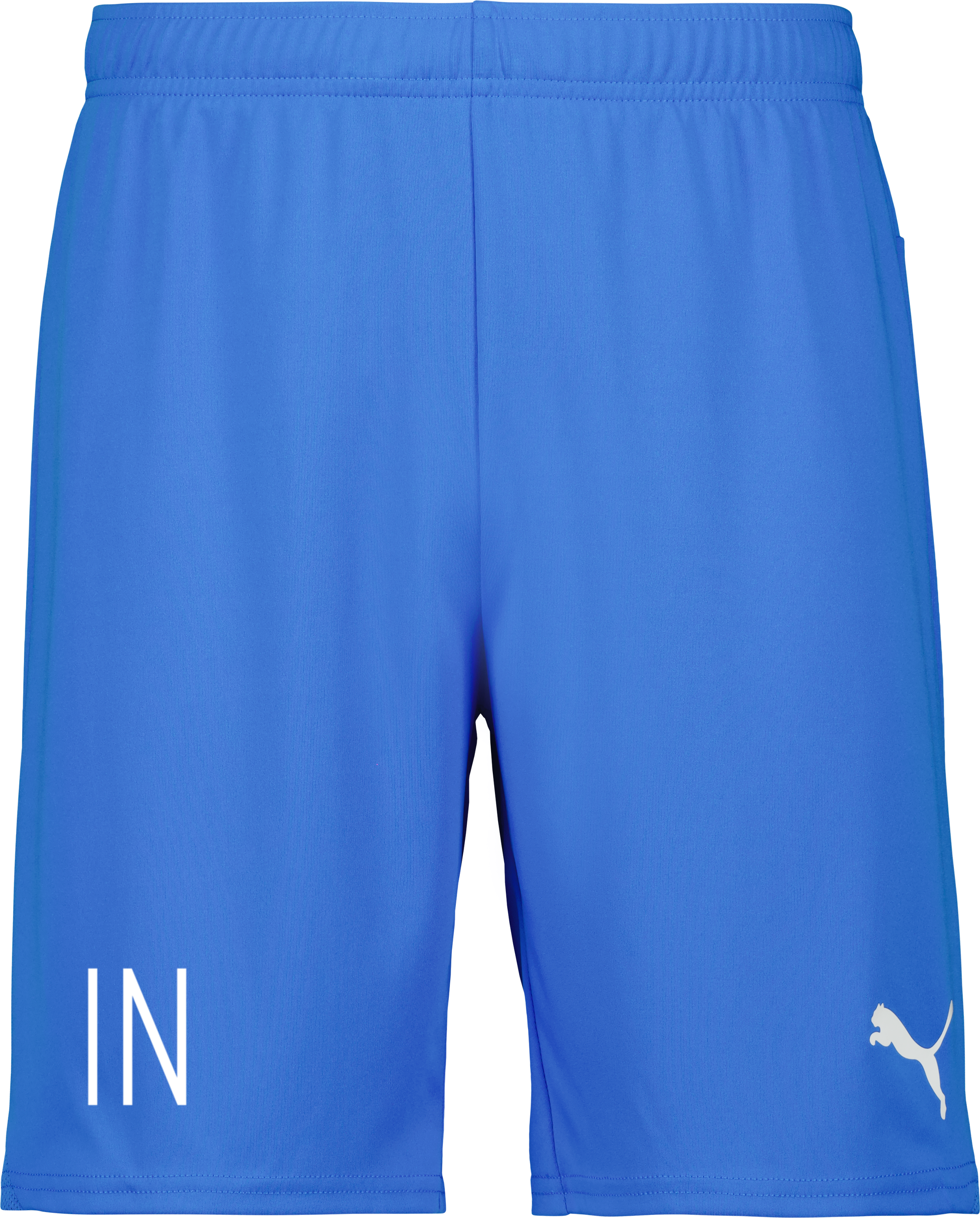 Puma teamGOAL Shorts 