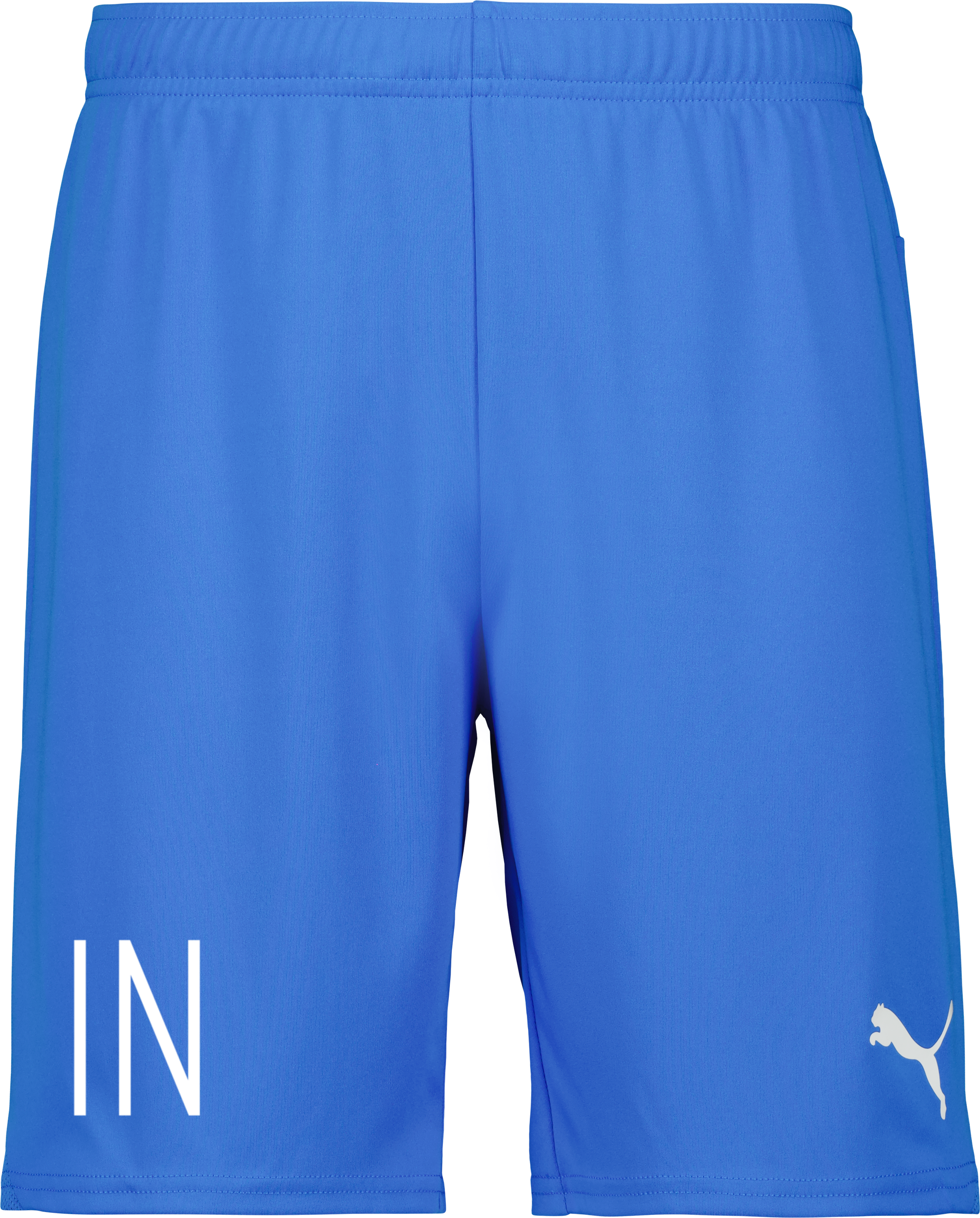 Puma teamGOAL Shorts Jr 