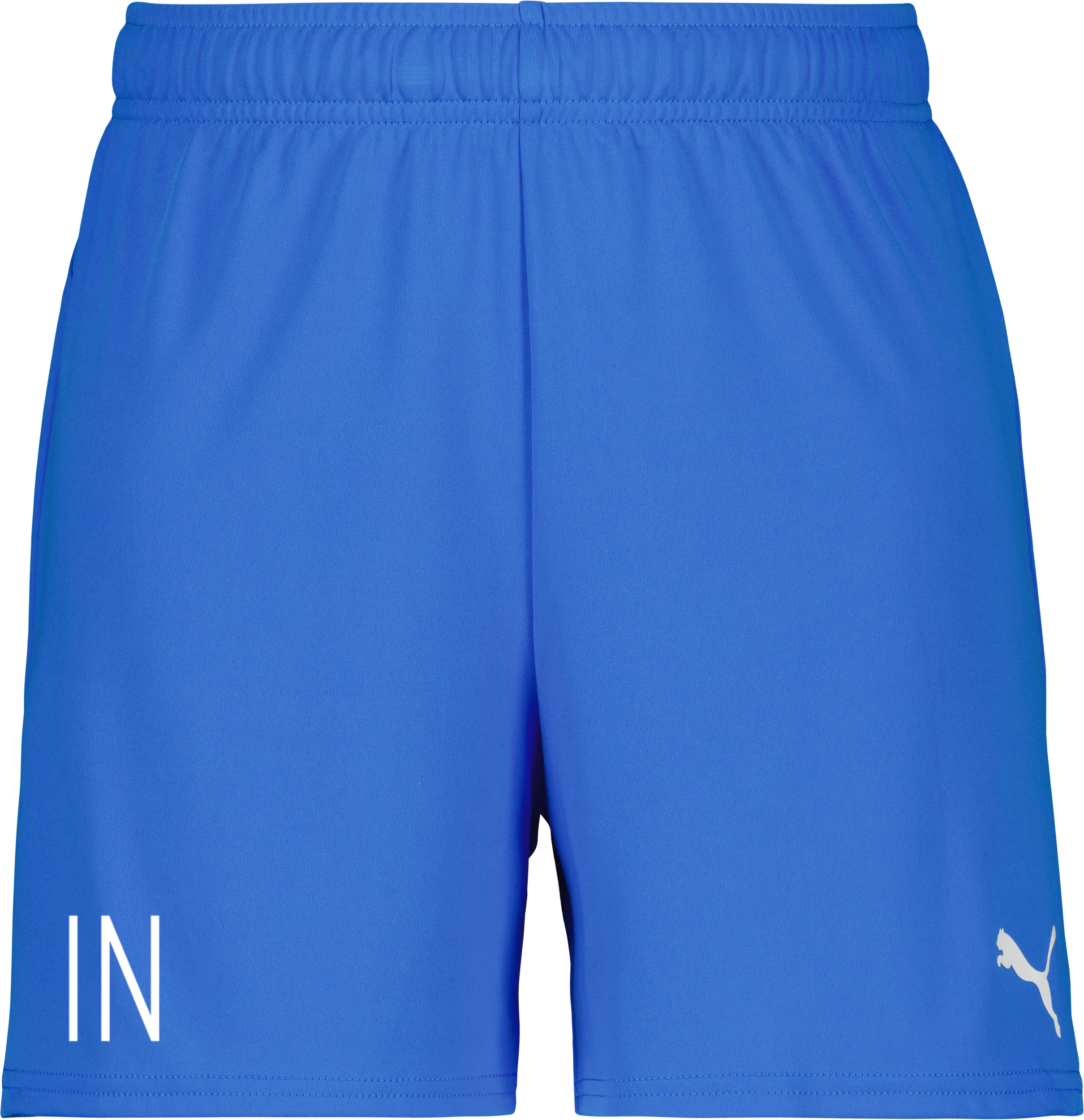 Puma teamGOAL Shorts W 