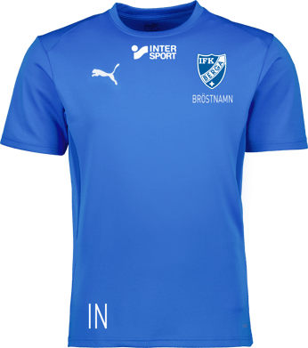 Puma teamGOAL Jersey 