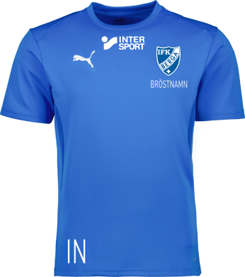 Puma teamGOAL Jersey Jr 