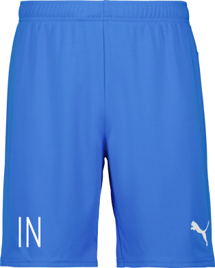 Puma teamGOAL Shorts 