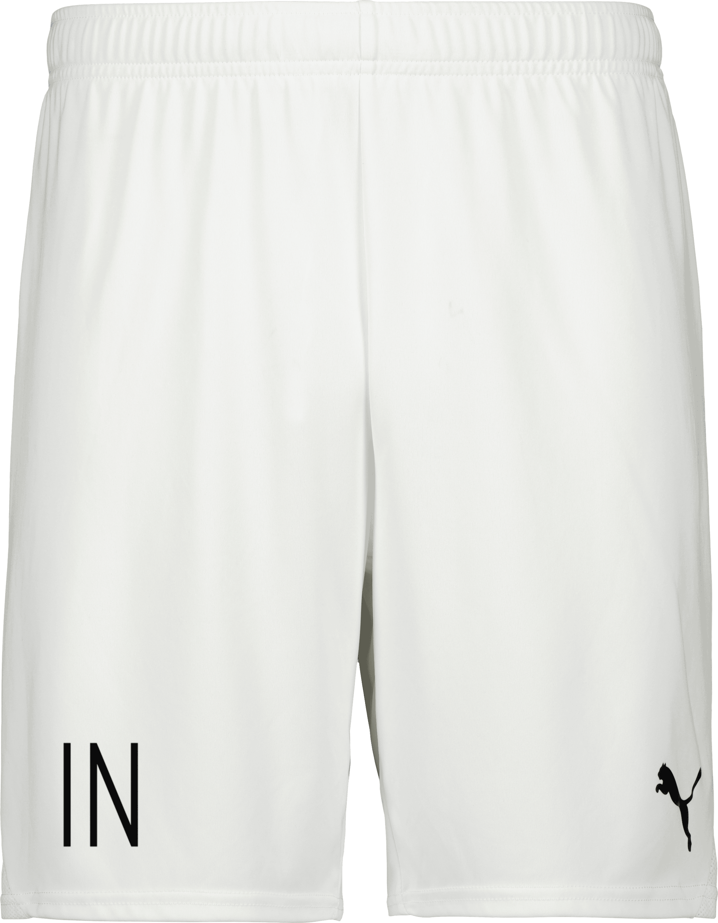 Puma teamGOAL Shorts 