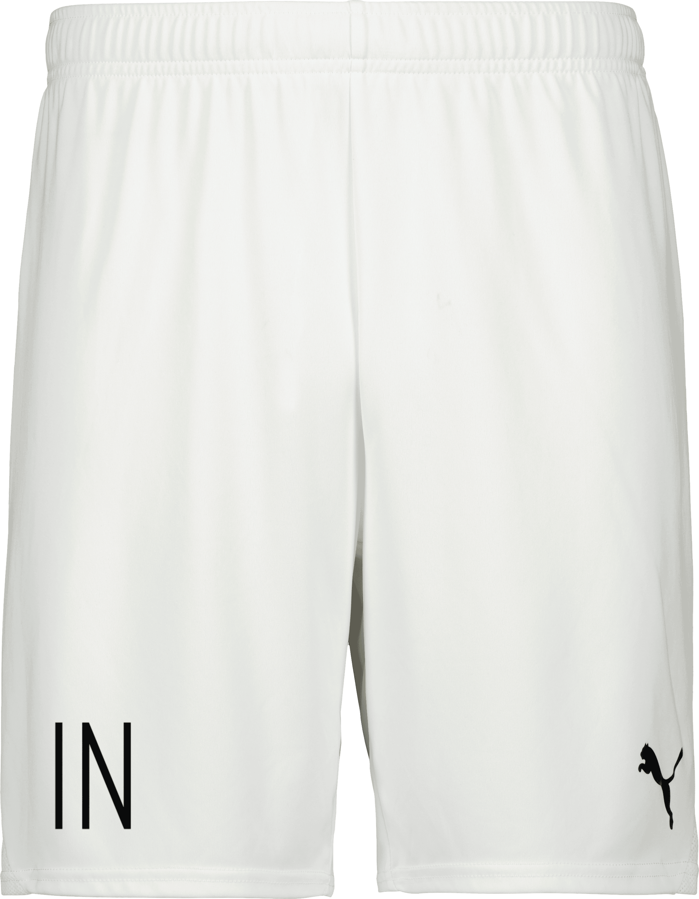 Puma teamGOAL Shorts Jr 