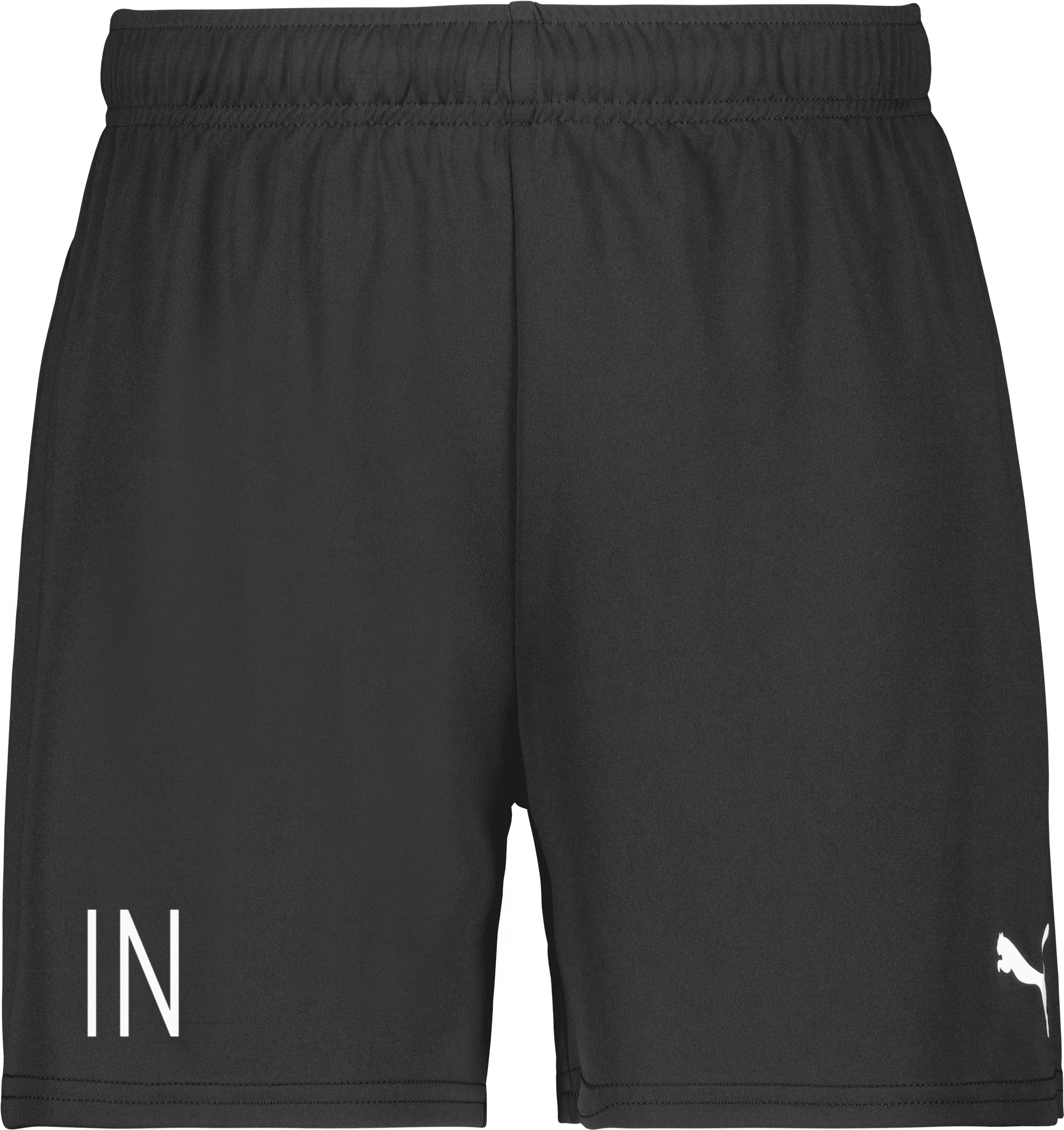 Puma teamGOAL Shorts W 