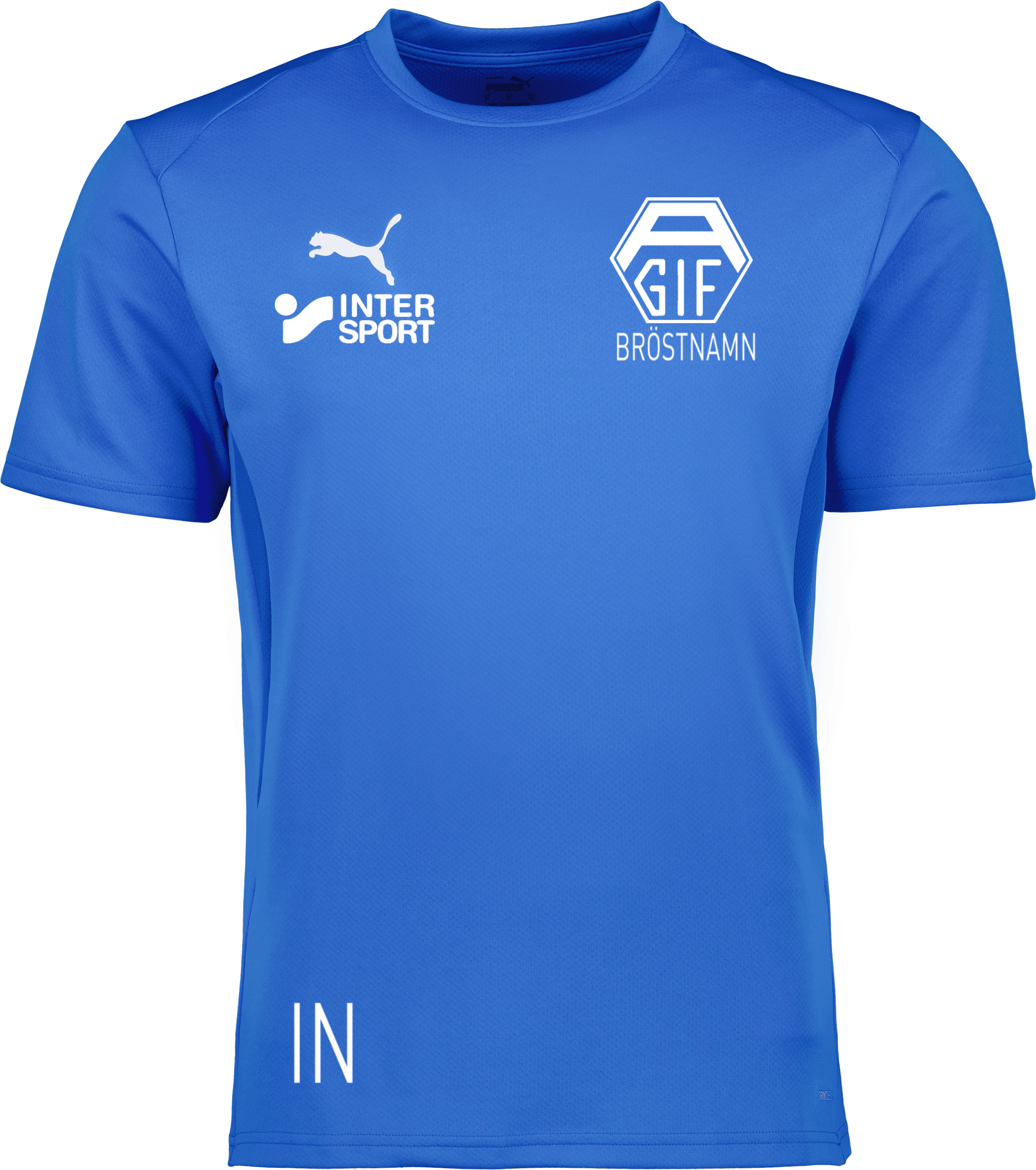 Puma teamGOAL Jersey Jr 