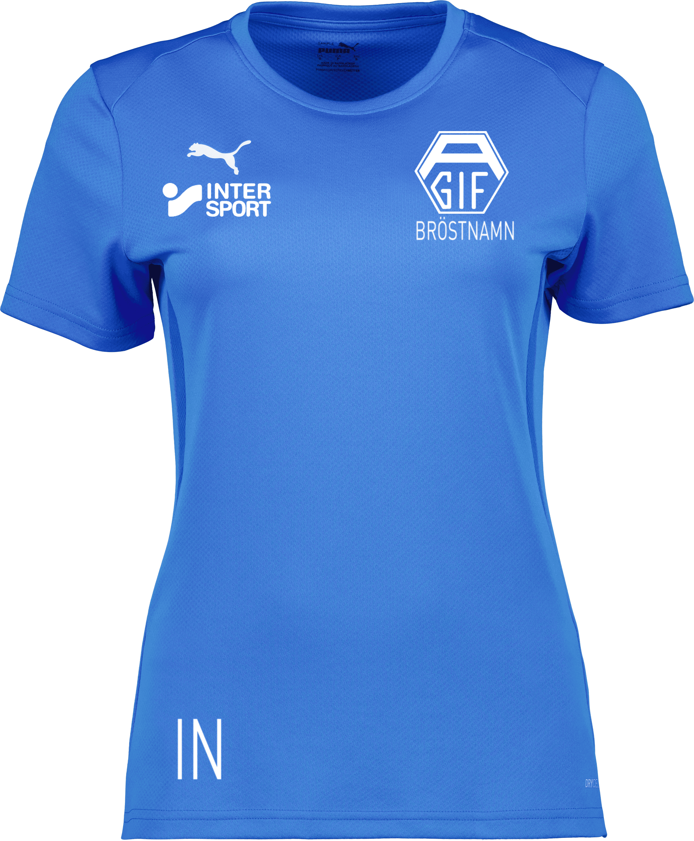 Puma teamGOAL Jersey W 