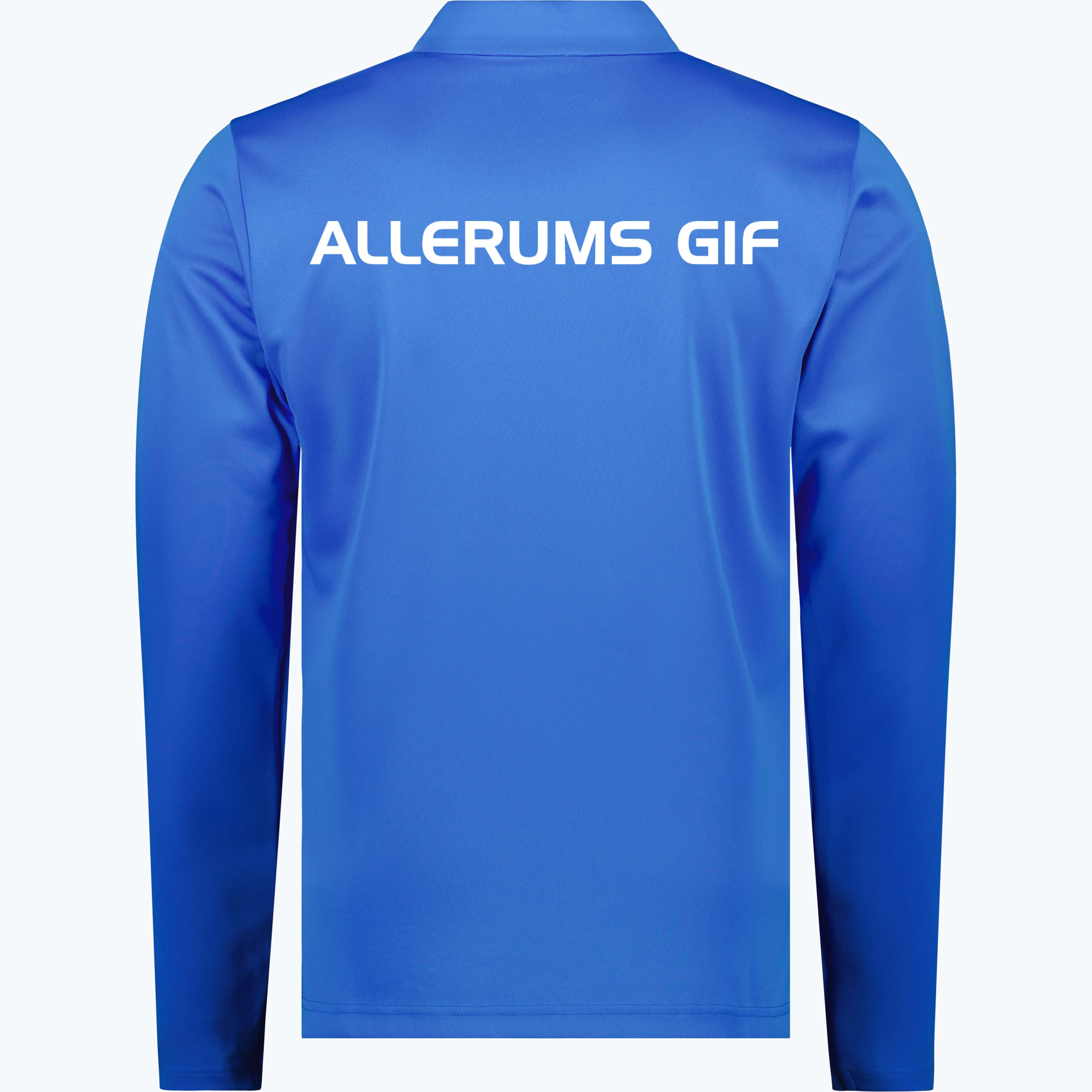 teamGOAL Training 1/4 Zip Träningströja Jr 