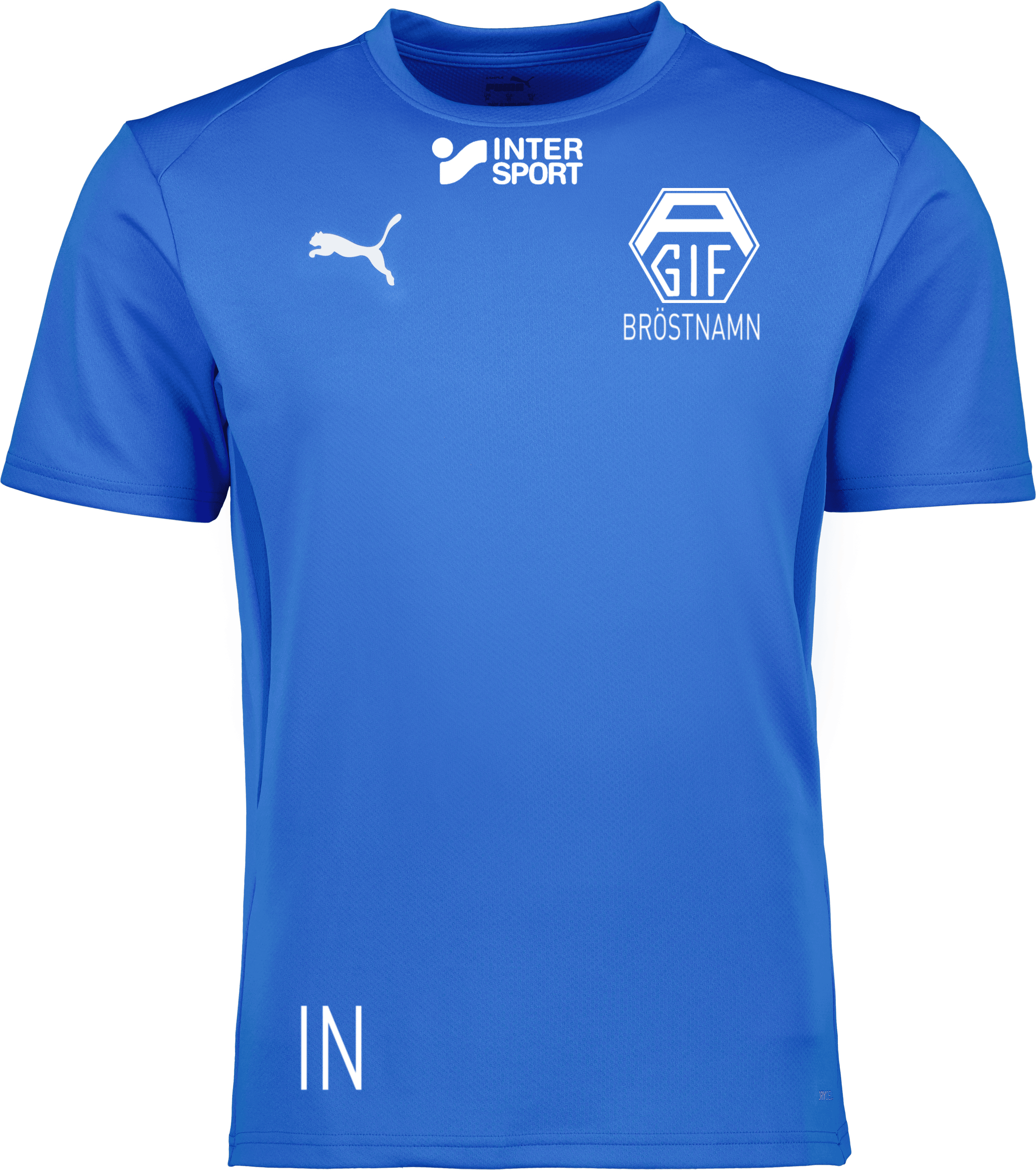 Puma teamGOAL Jersey 