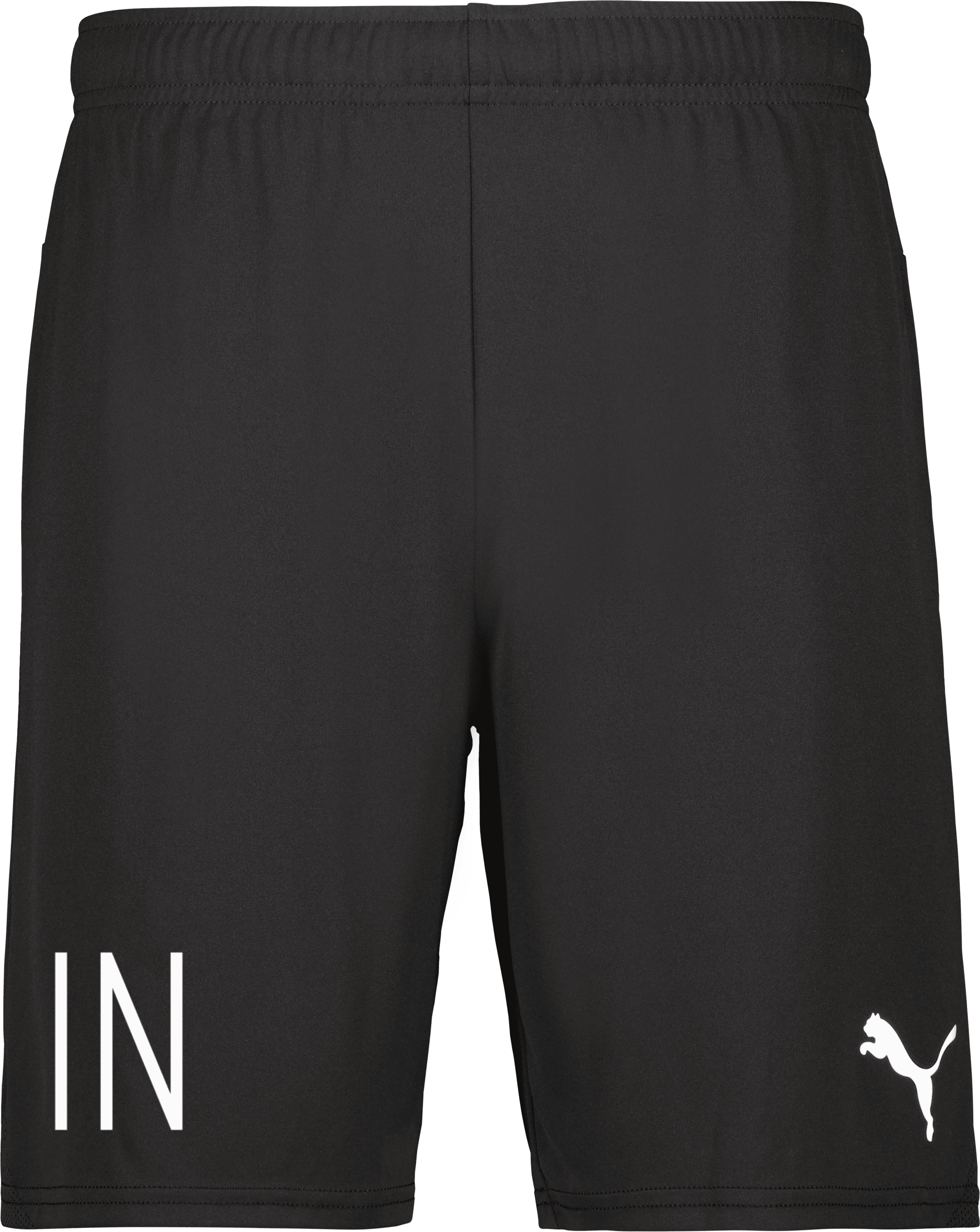 Puma teamGOAL Shorts Jr 