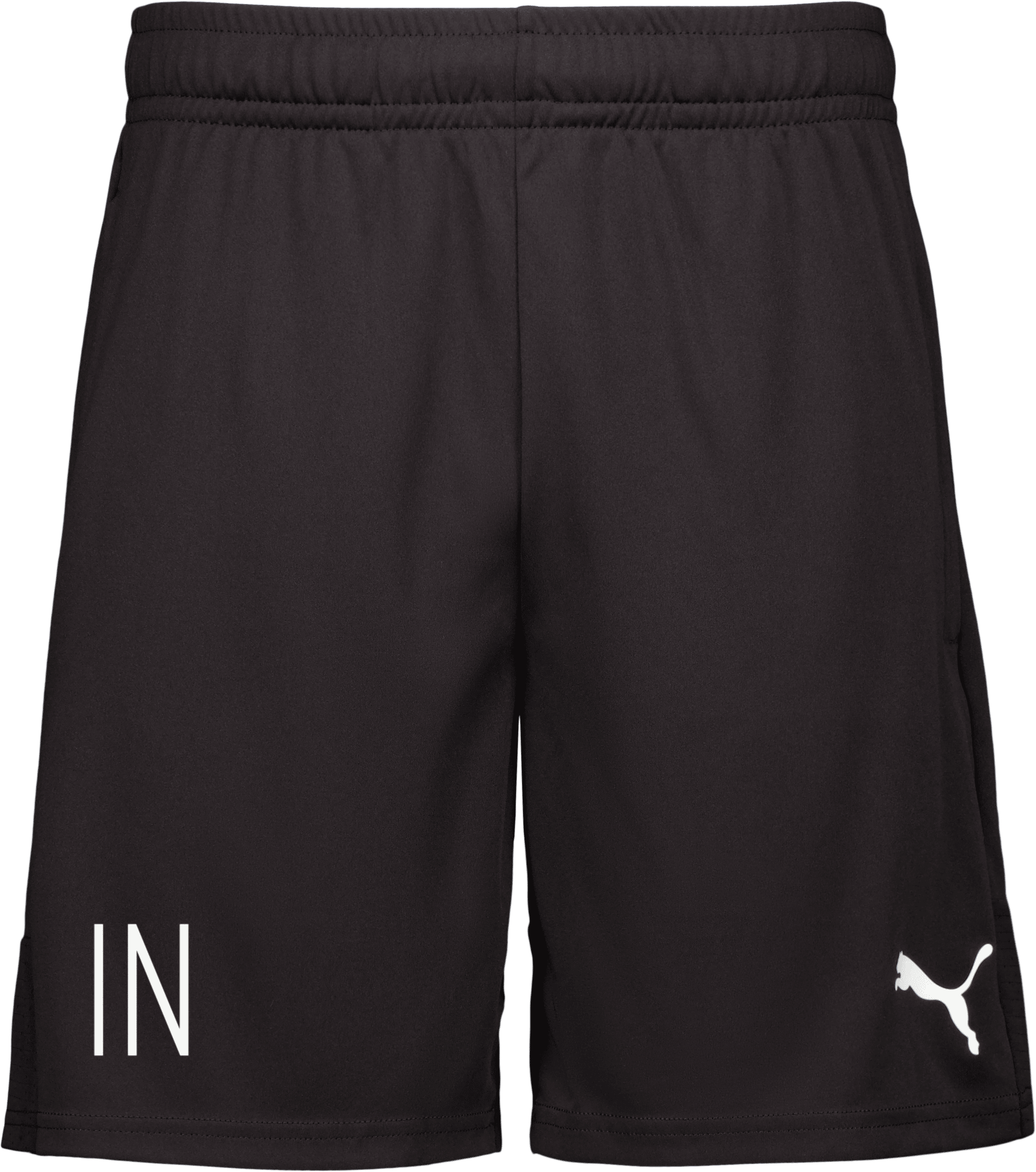 Puma teamLiga träningsshorts