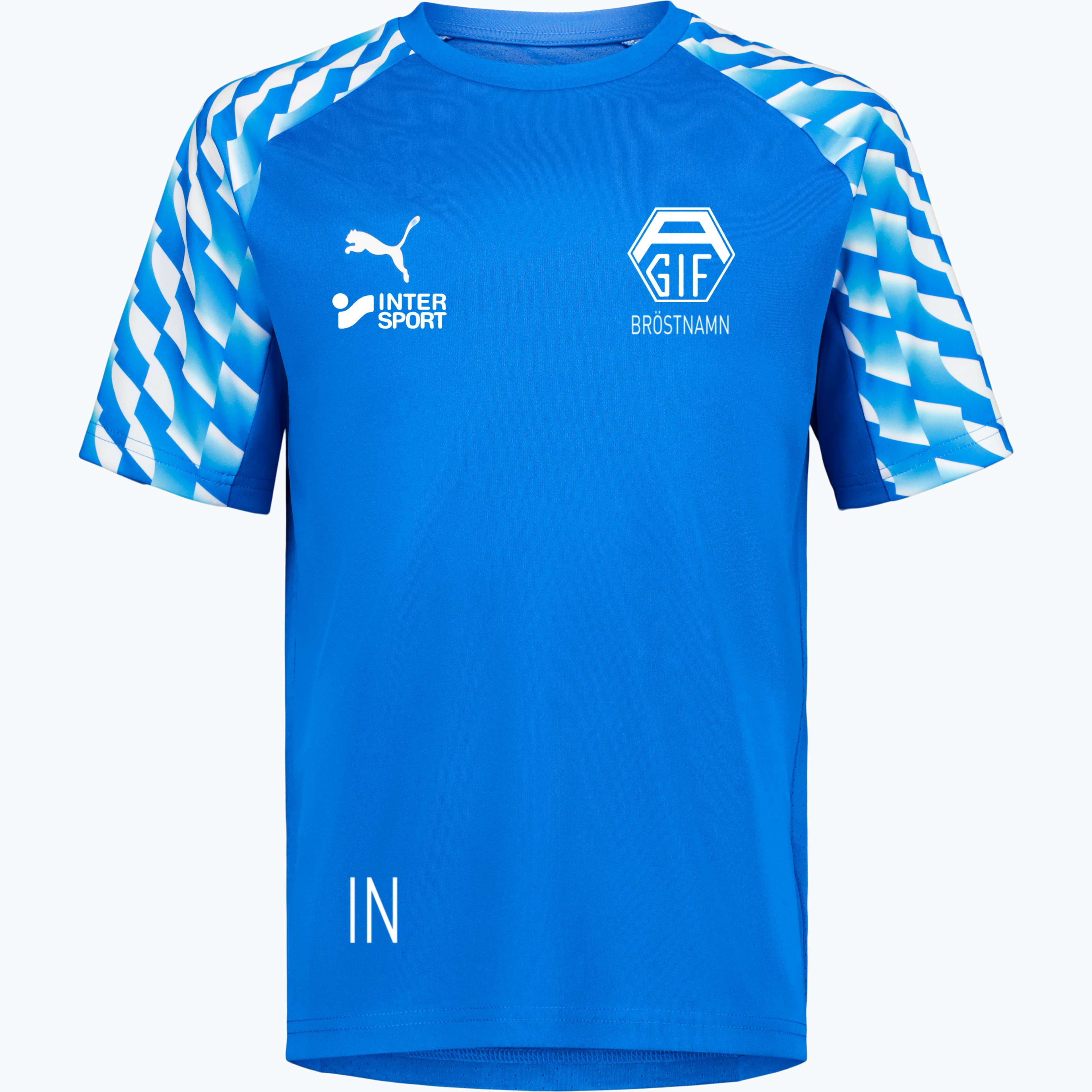 teamLiga 26 JR träningst-shirt