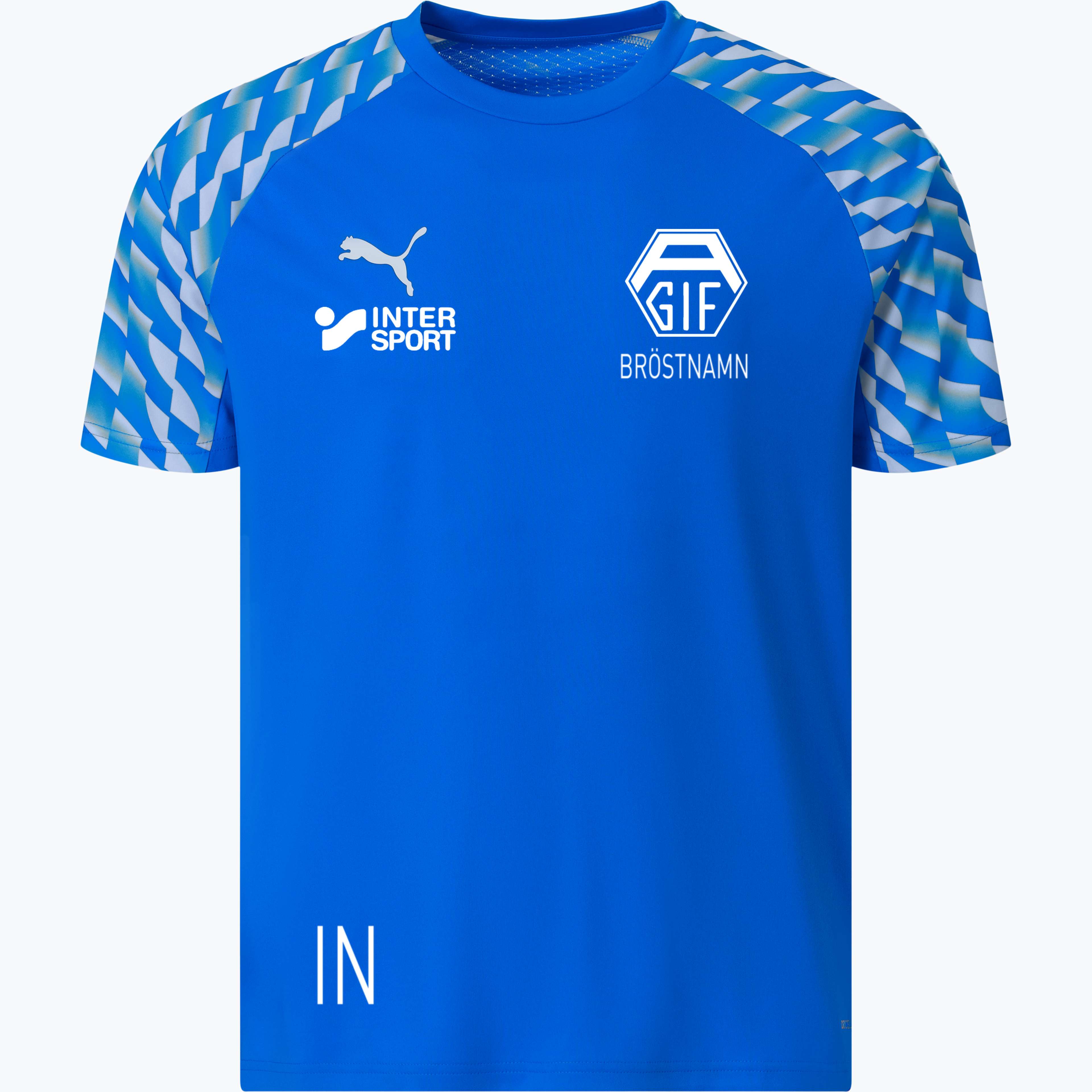 teamLiga 26 M träningst-shirt