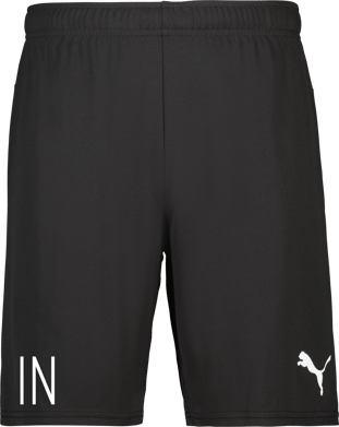 Puma teamGOAL Shorts 