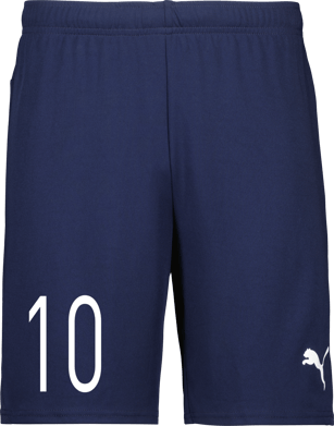 Puma teamGOAL Shorts 