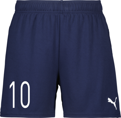 Puma teamGOAL Shorts W 