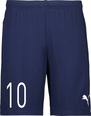 Puma teamGOAL Shorts Jr 