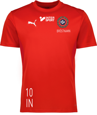 Puma teamGOAL Jersey 