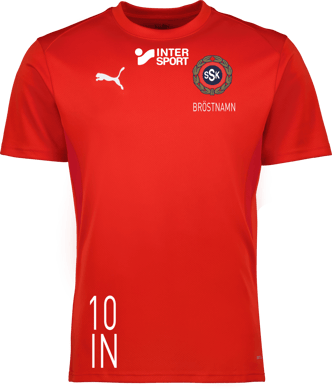 Puma teamGOAL Jersey Jr 