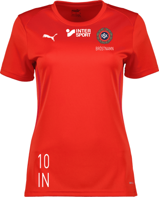 Puma teamGOAL Jersey W 