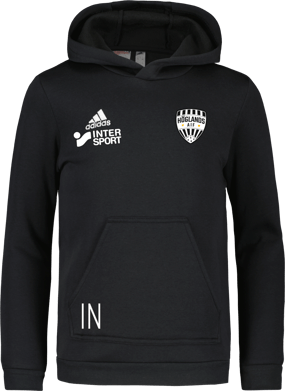 adidas Entrada22 Jr Hoody