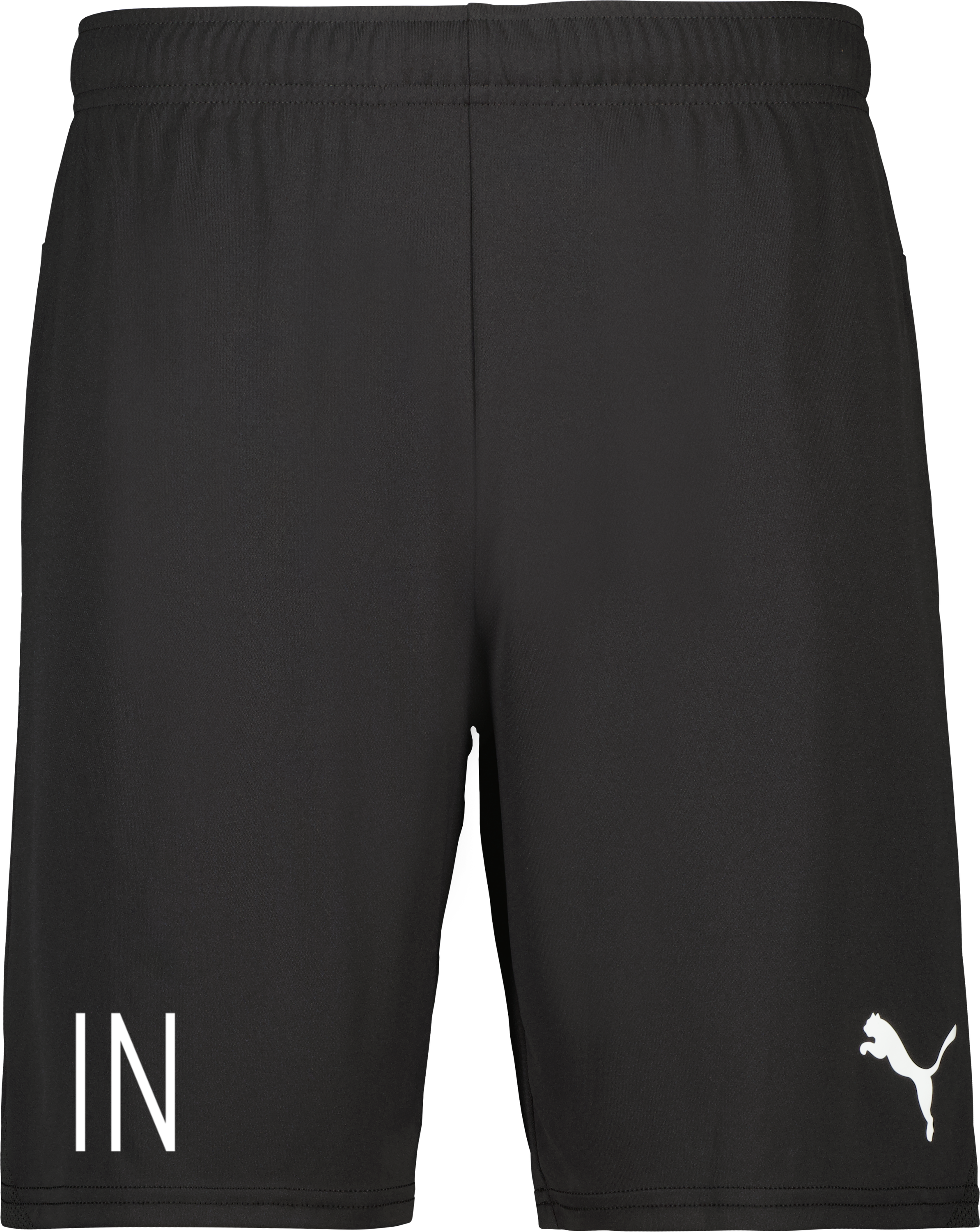 Puma teamGOAL Shorts 