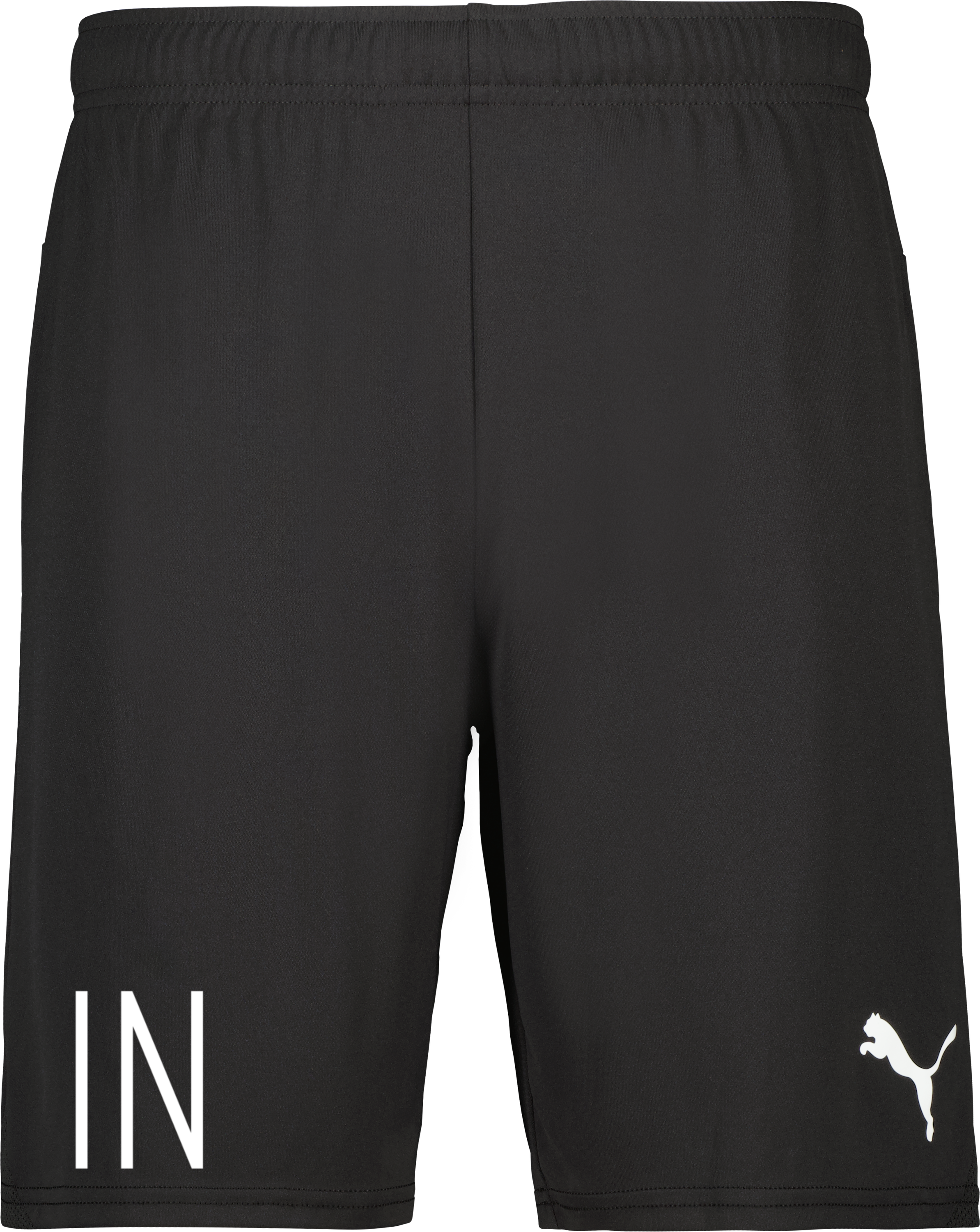 Puma teamGOAL Shorts Jr 