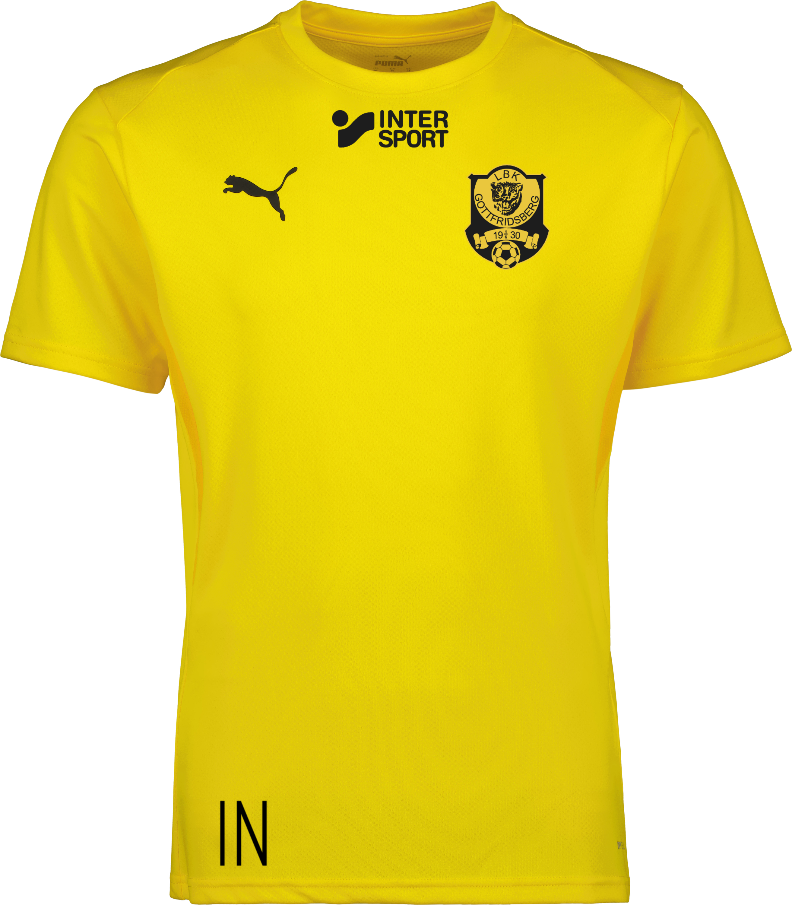 Puma teamGOAL Jersey 