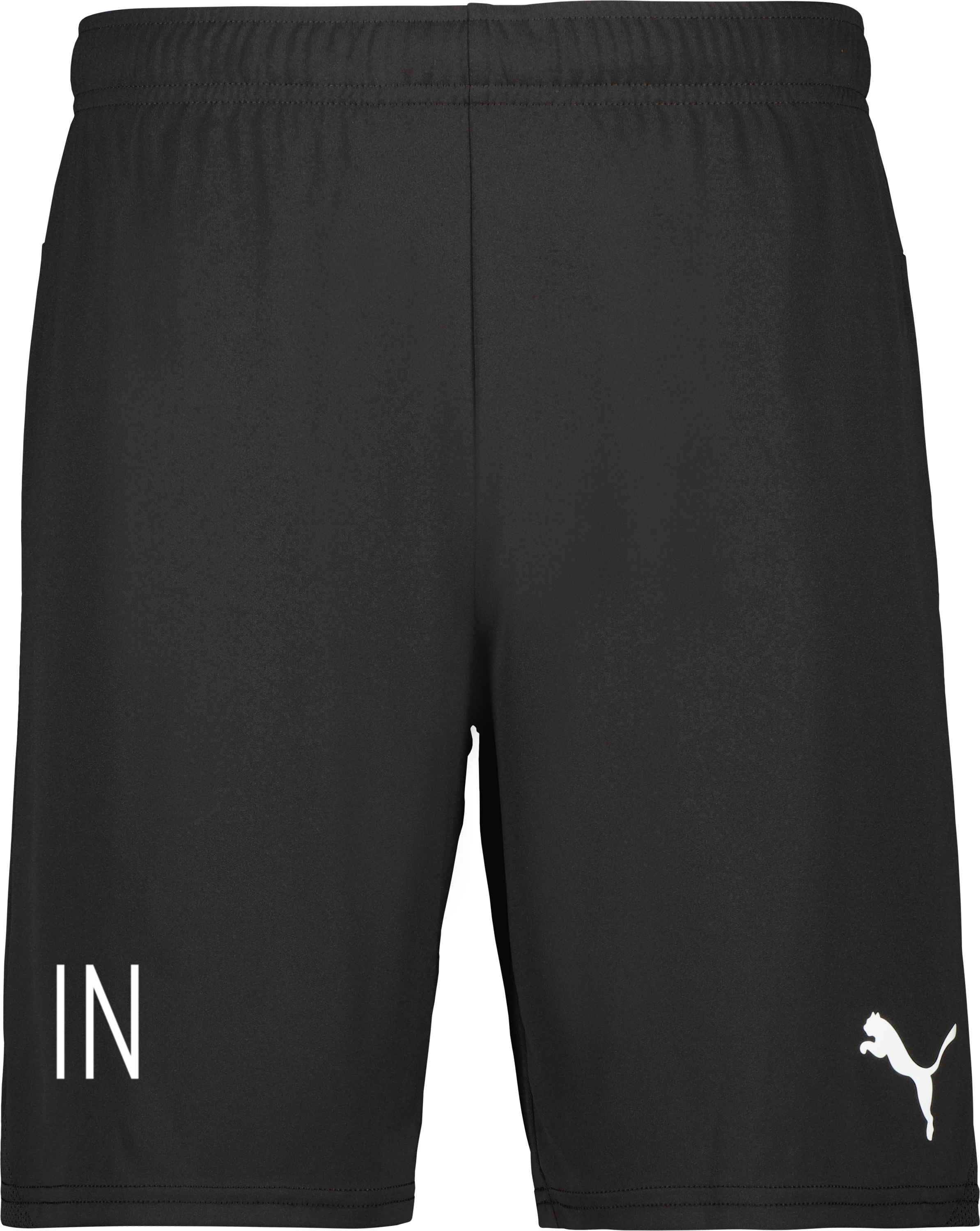 Puma teamGOAL Shorts 