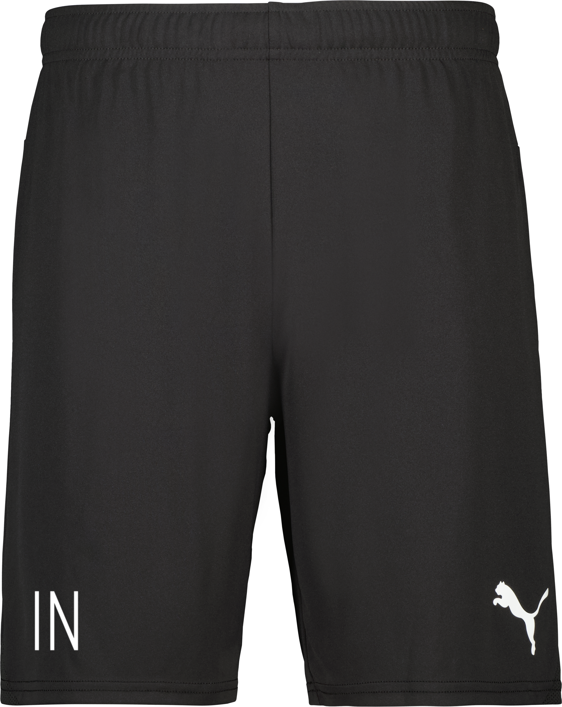 Puma teamGOAL Shorts Jr 