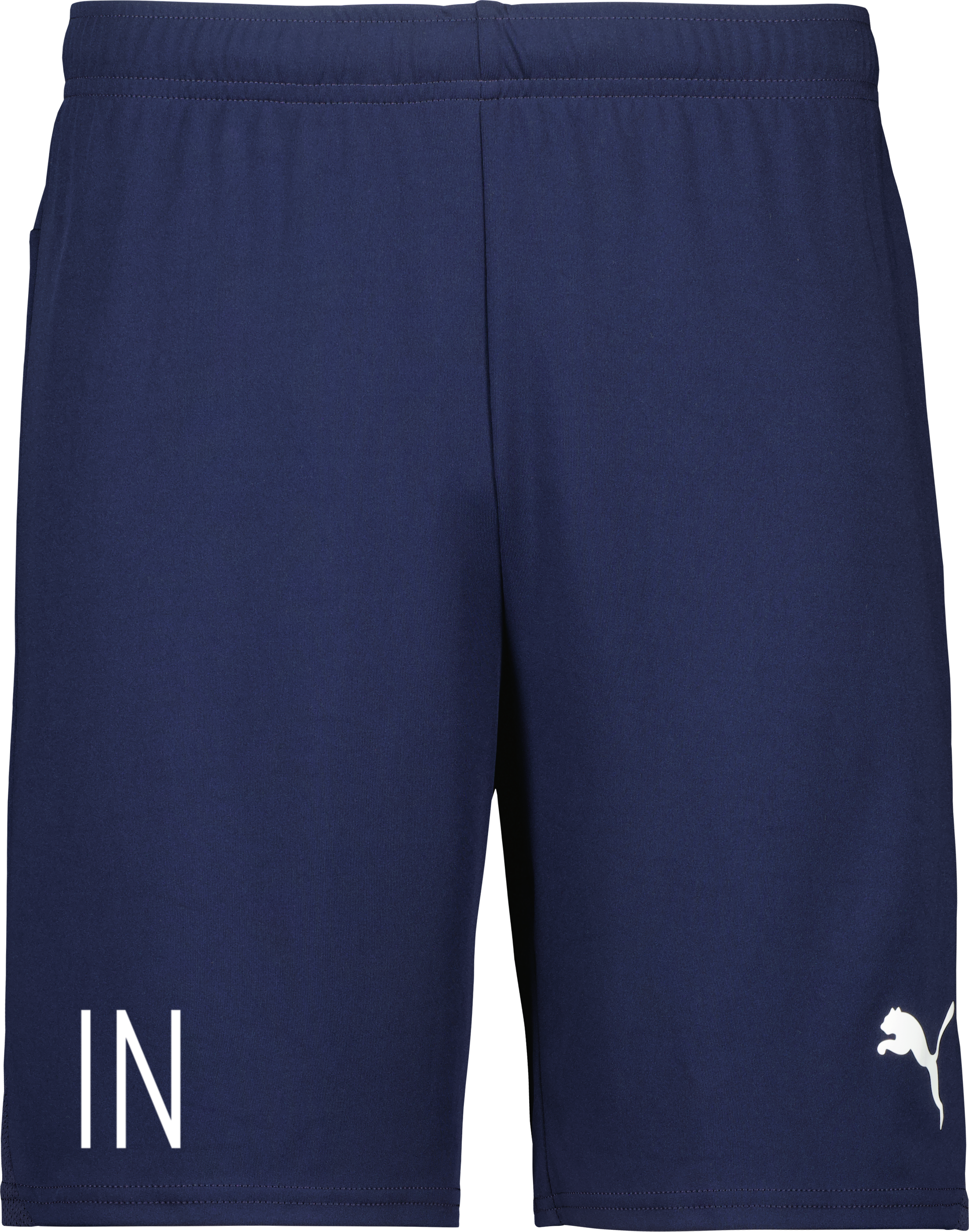 Puma teamGOAL Shorts 