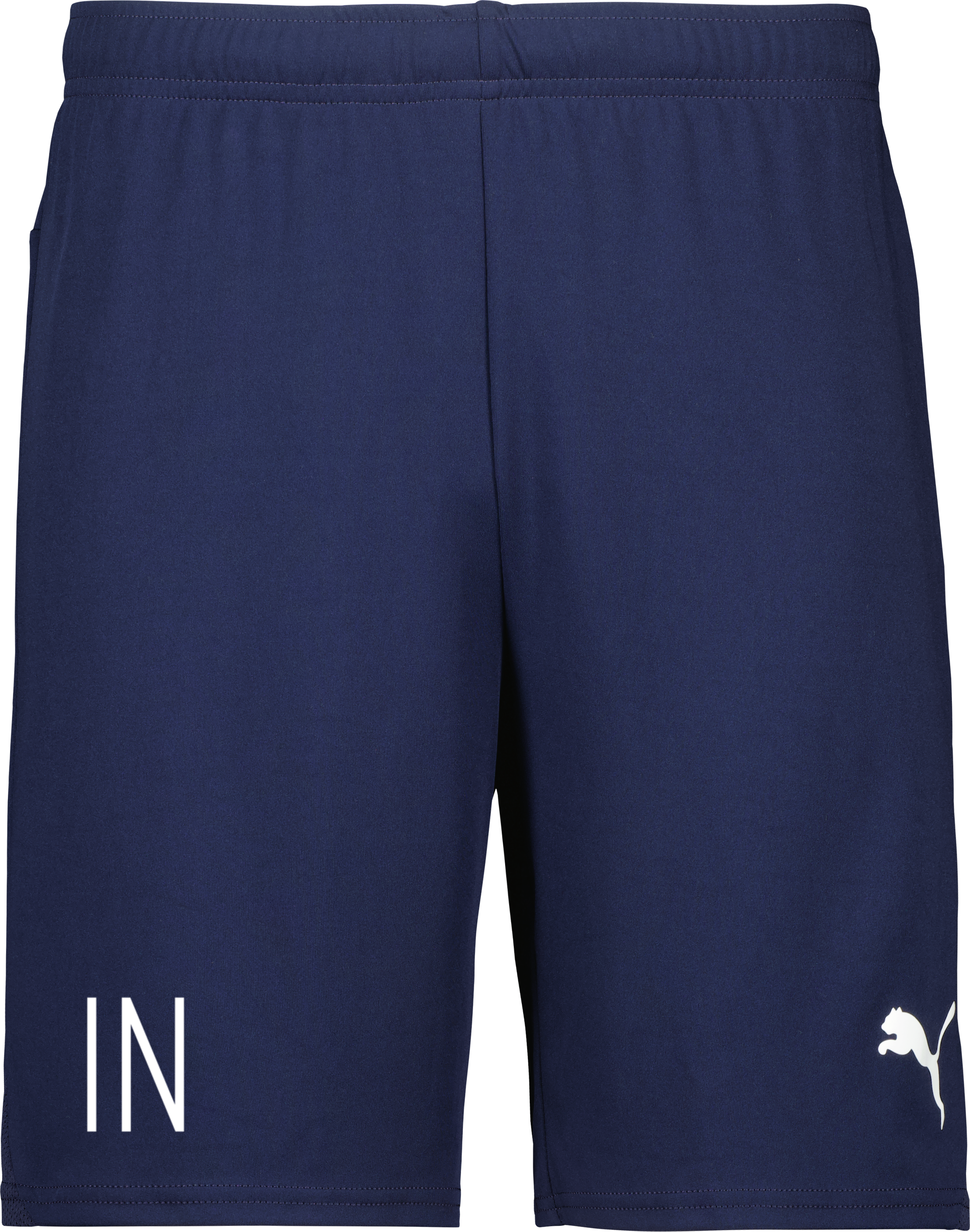 Puma teamGOAL Shorts Jr 