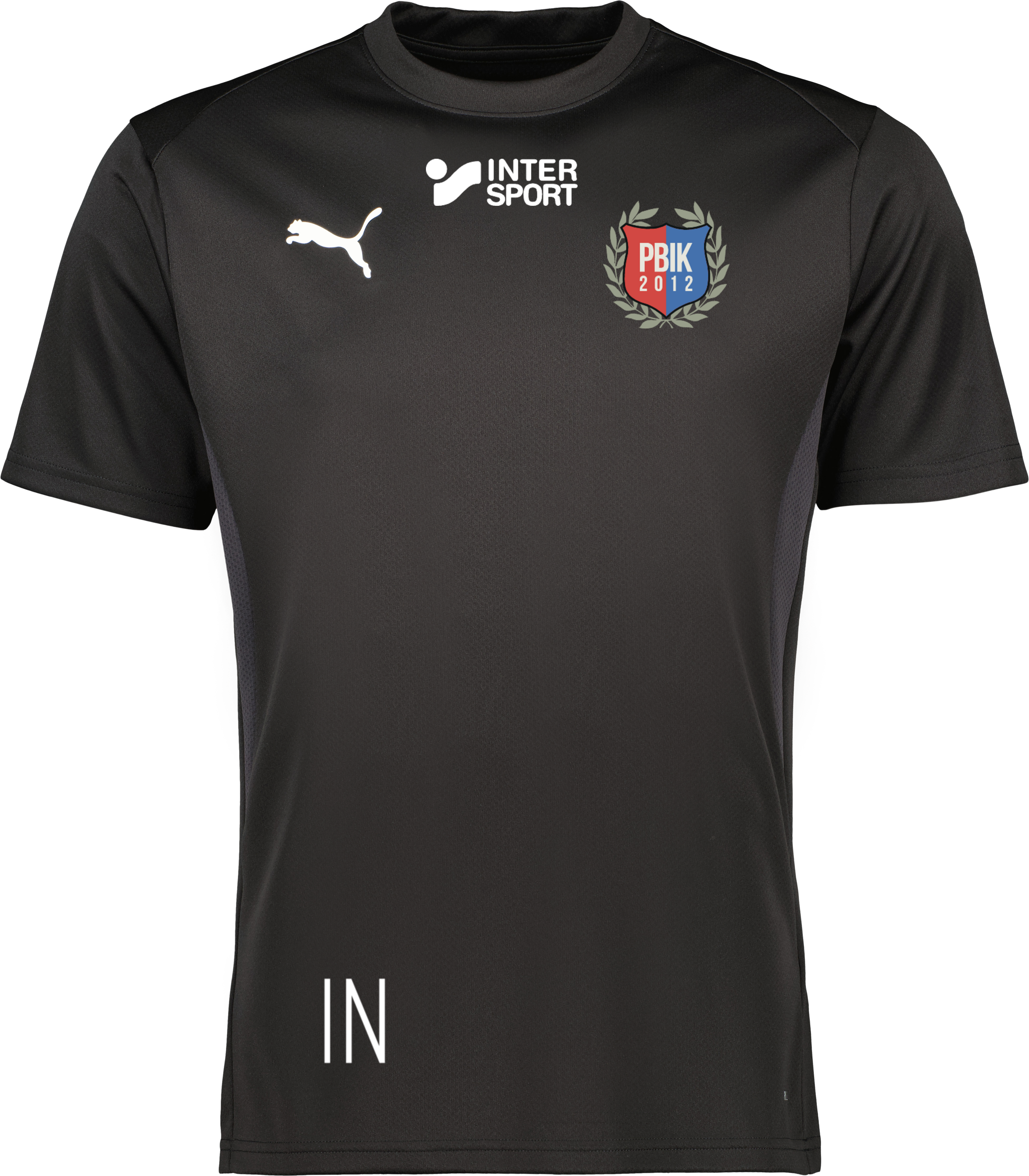 Puma teamGOAL Jersey 