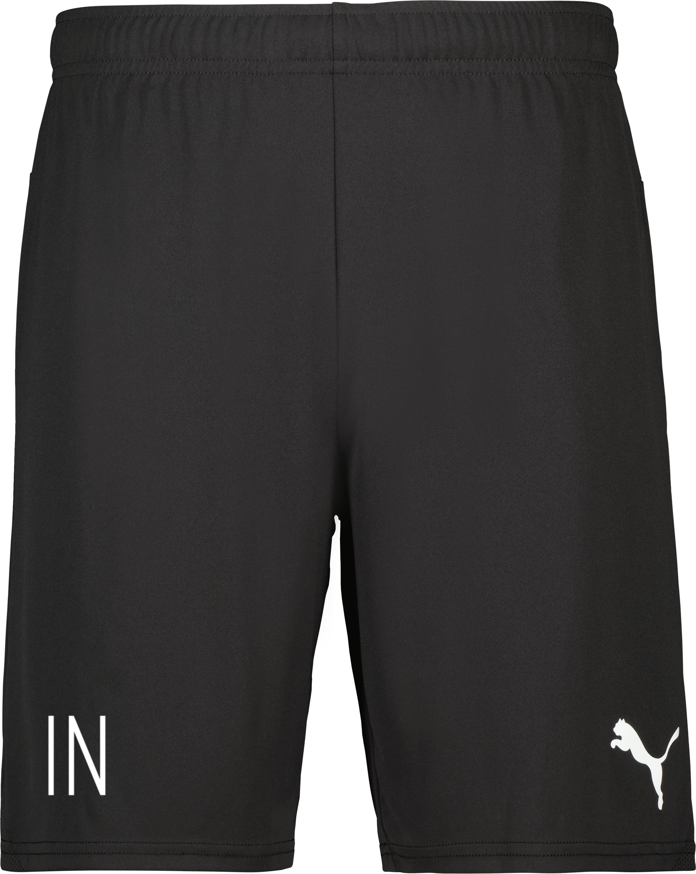 Puma teamGOAL Shorts Jr 