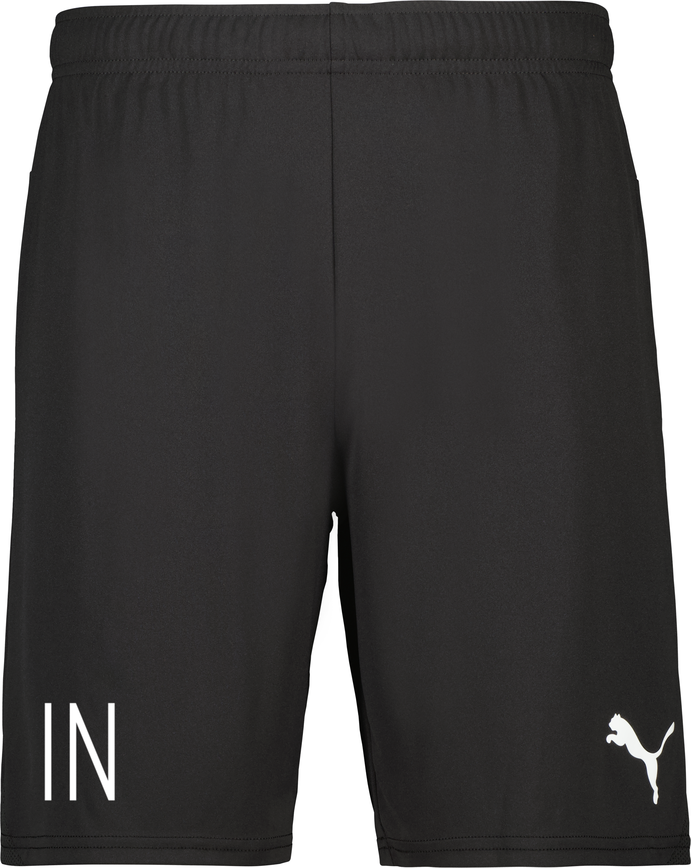 Puma teamGOAL Shorts 