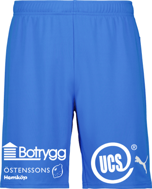 Puma teamGOAL Shorts Jr 