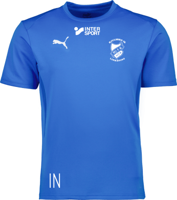 Puma teamGOAL Jersey 