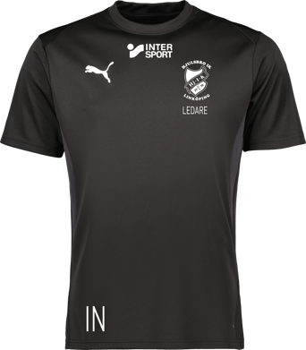 Puma teamGOAL Jersey 