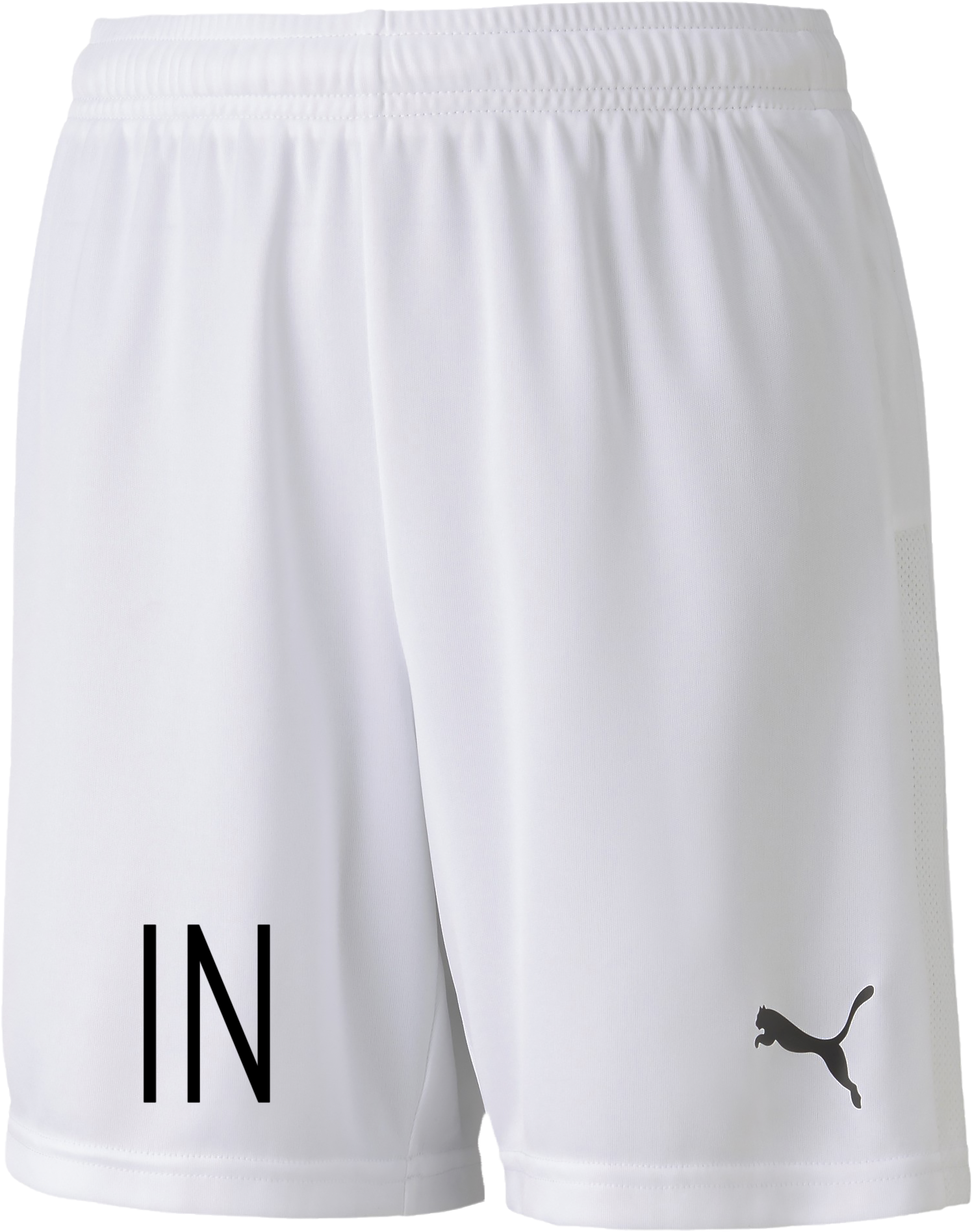 Puma TeamGoal 23 knit shorts Jr