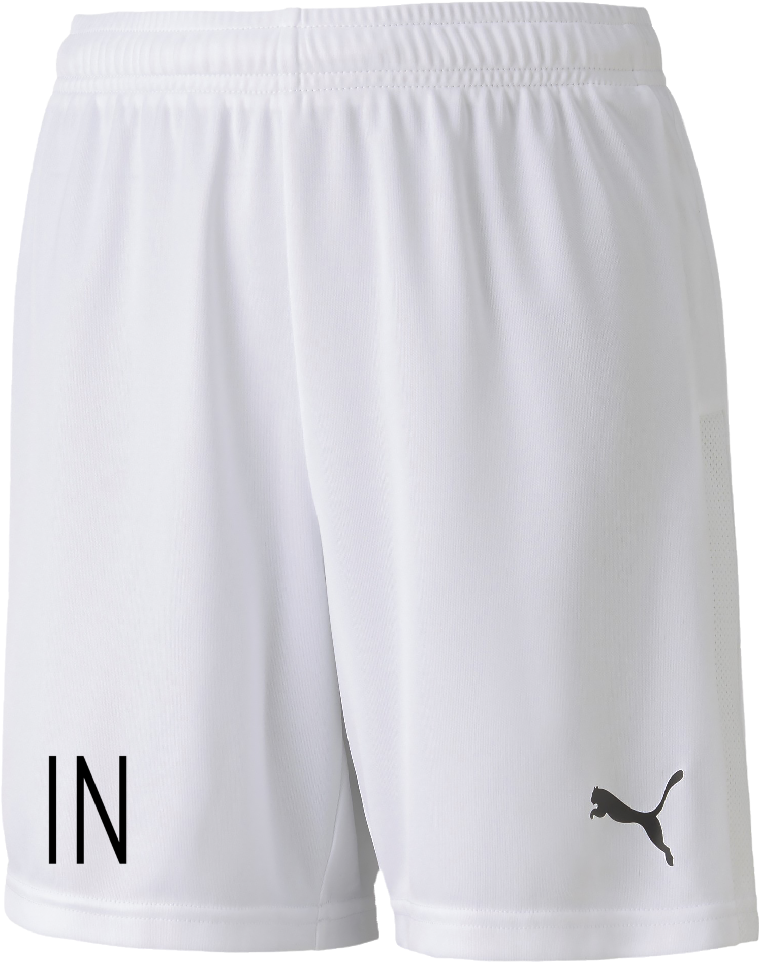 Puma TeamGoal 23 knit shorts Sr