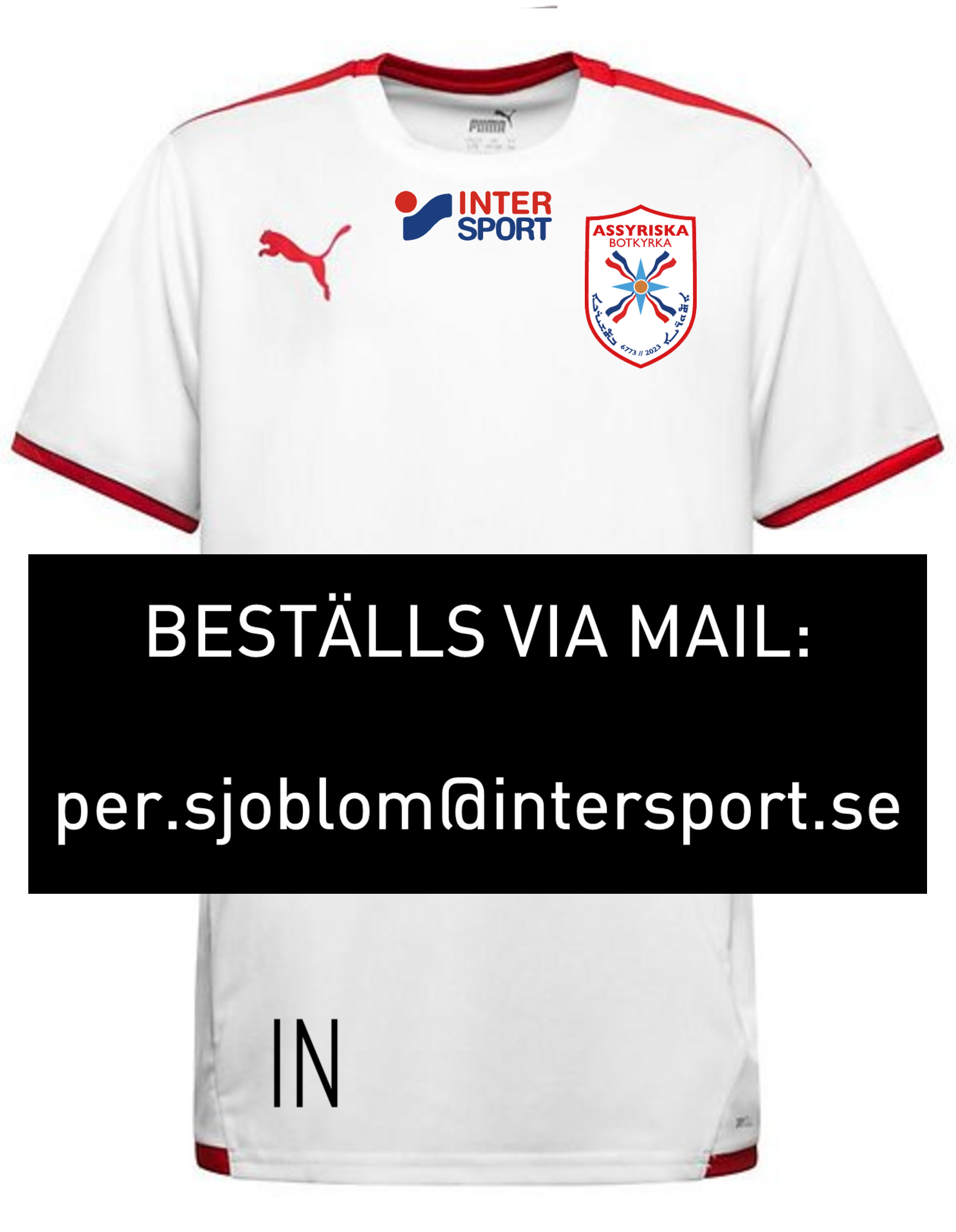 Puma teamLIGA Sr träningst-shirt