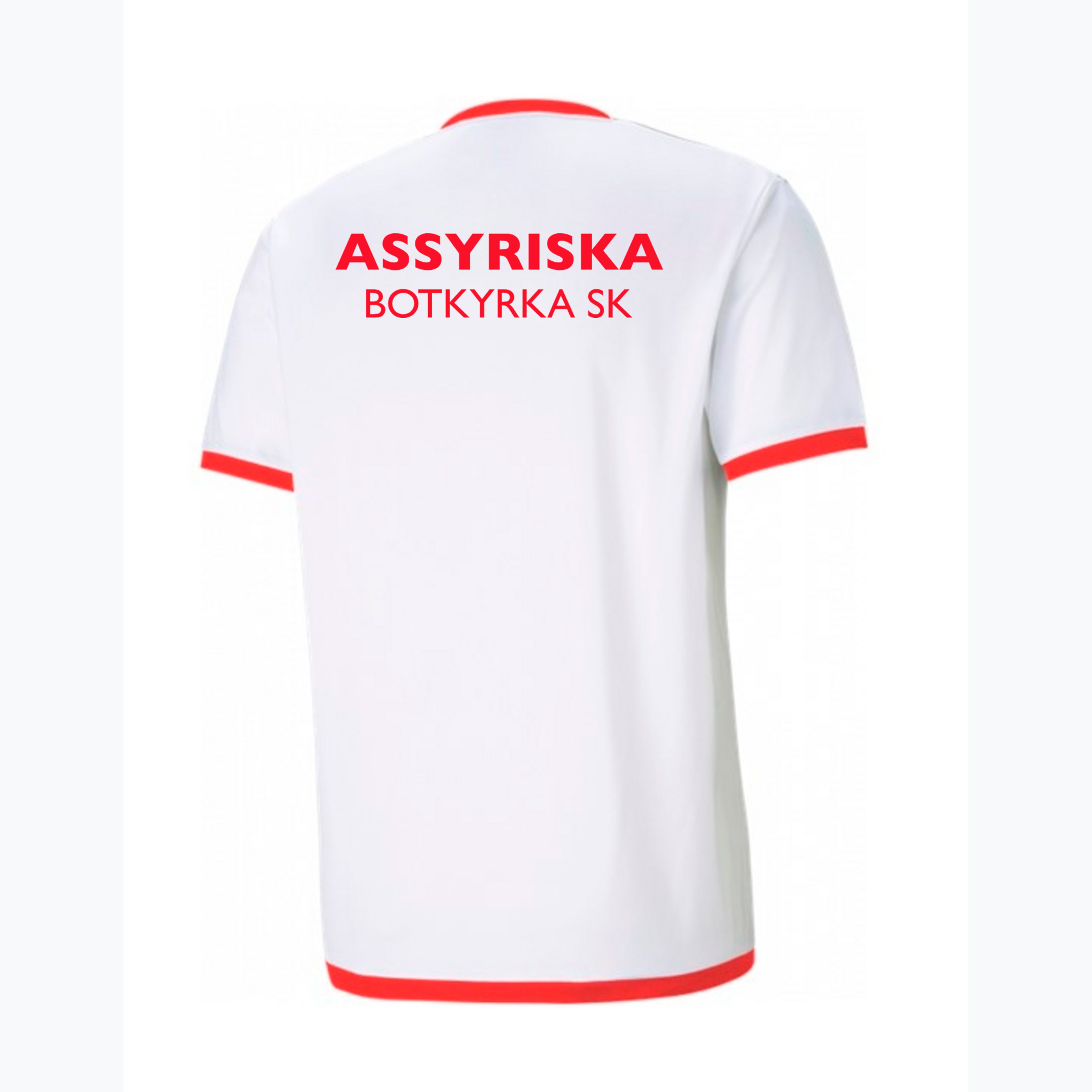 teamLIGA Sr träningst-shirt