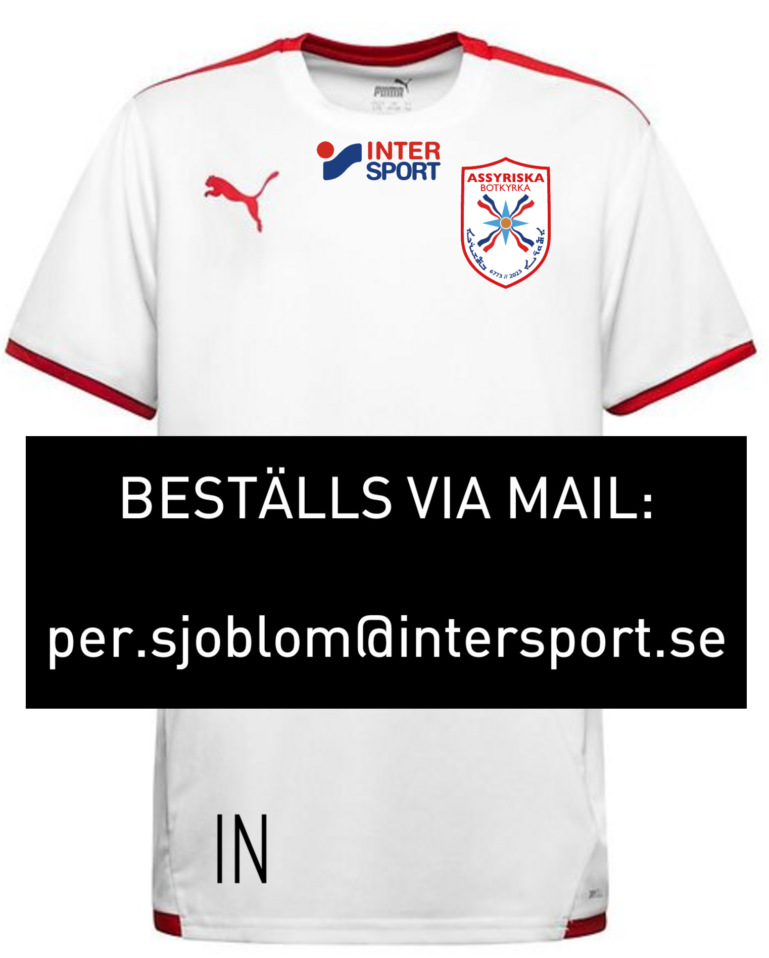 Puma teamLIGA Jr träningst-shirt